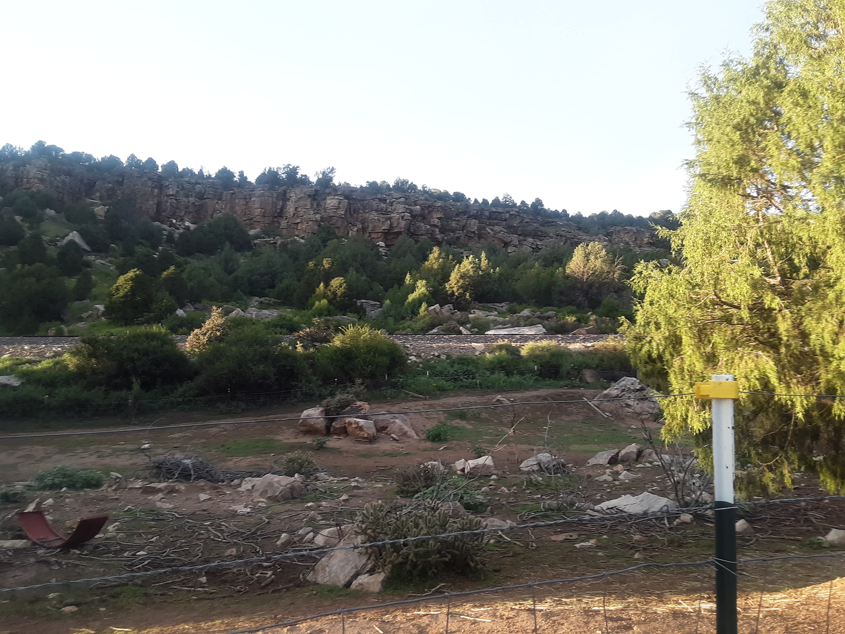 Picture of the site