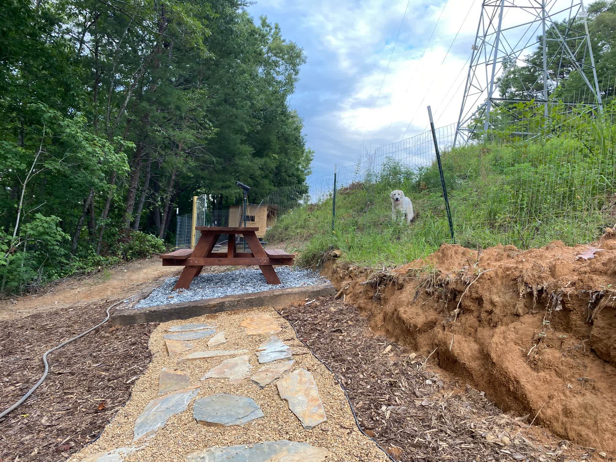 Picture of the site