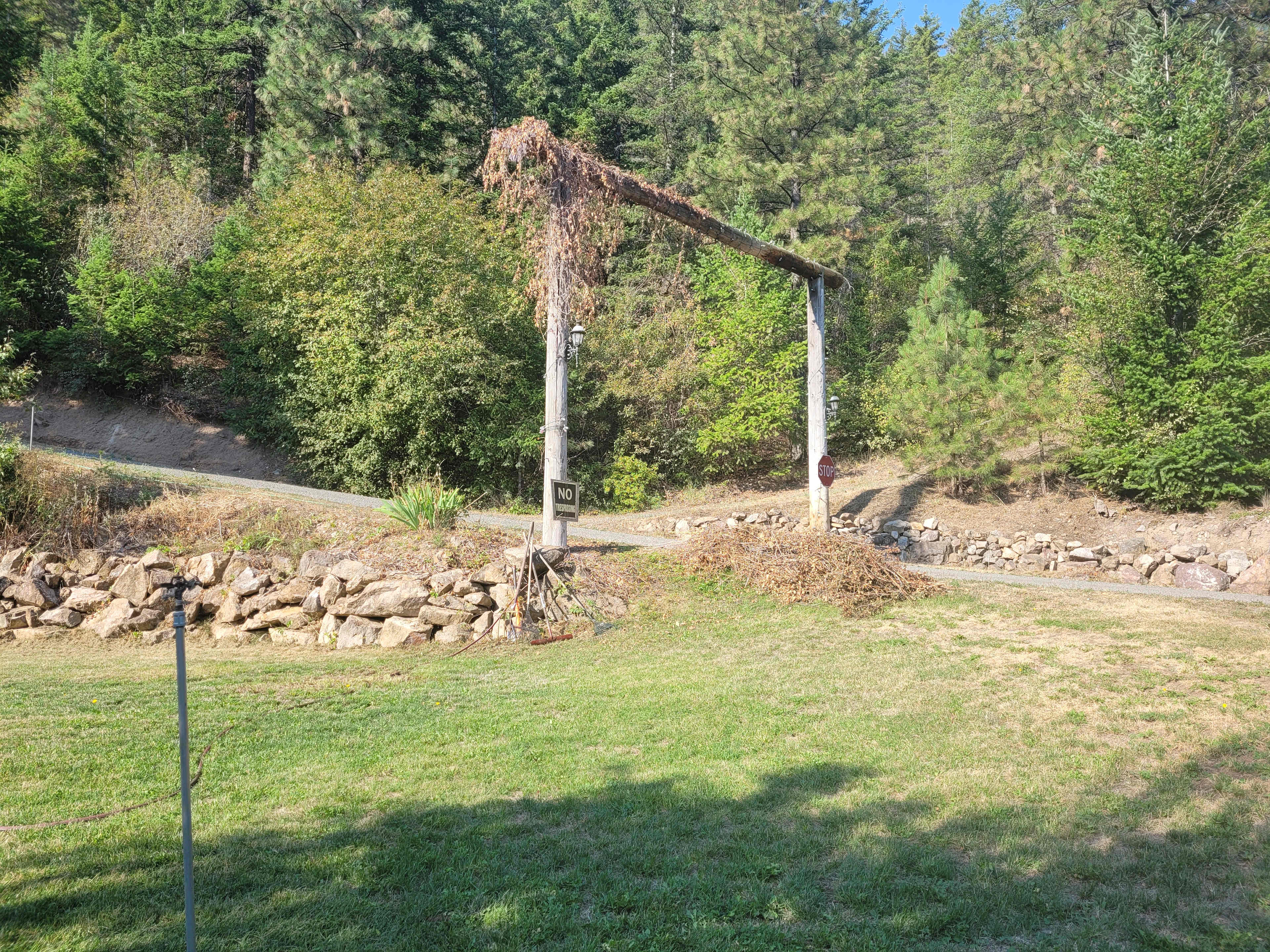 Picture of the site
