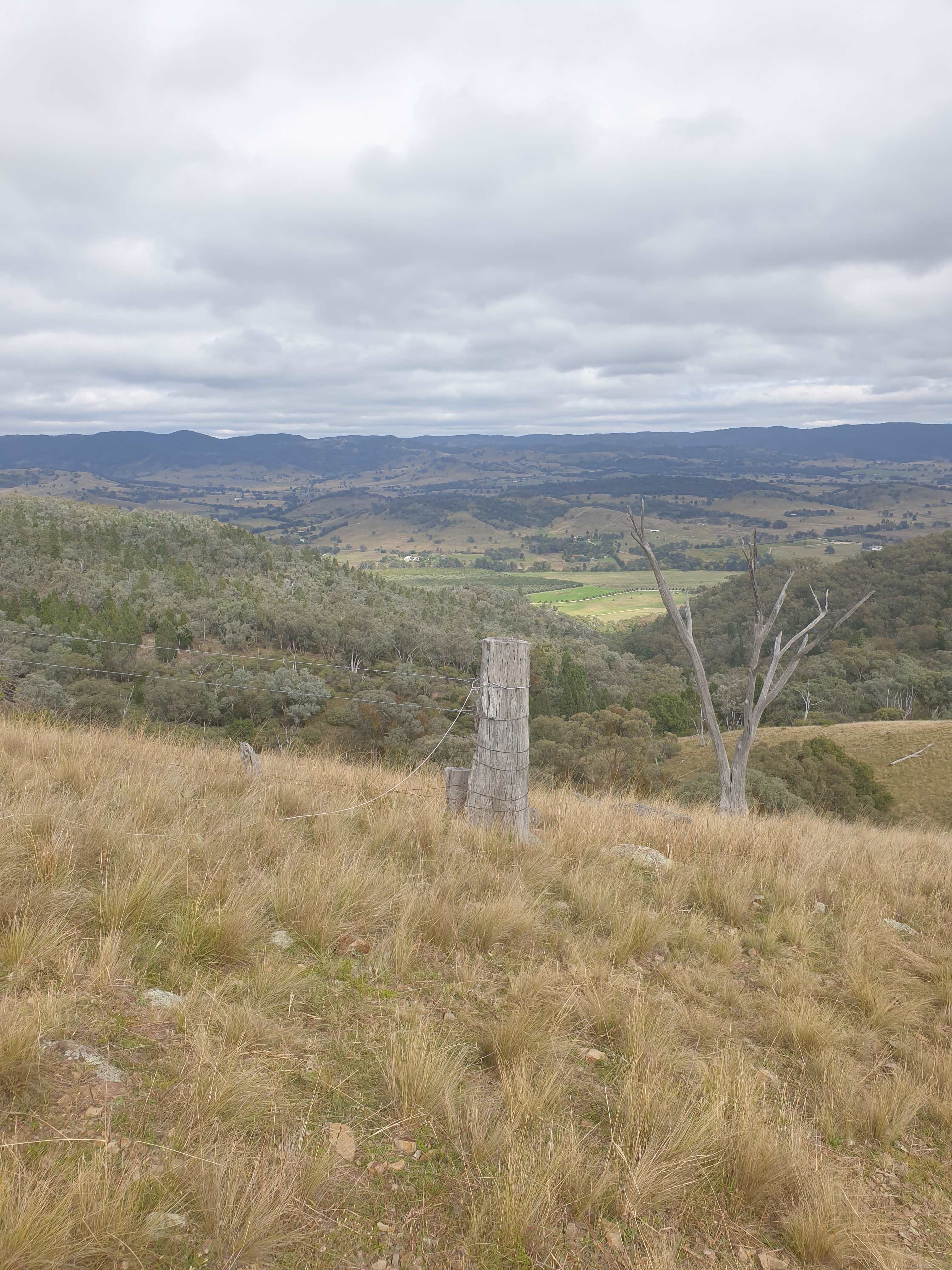 View from Mt Knowles