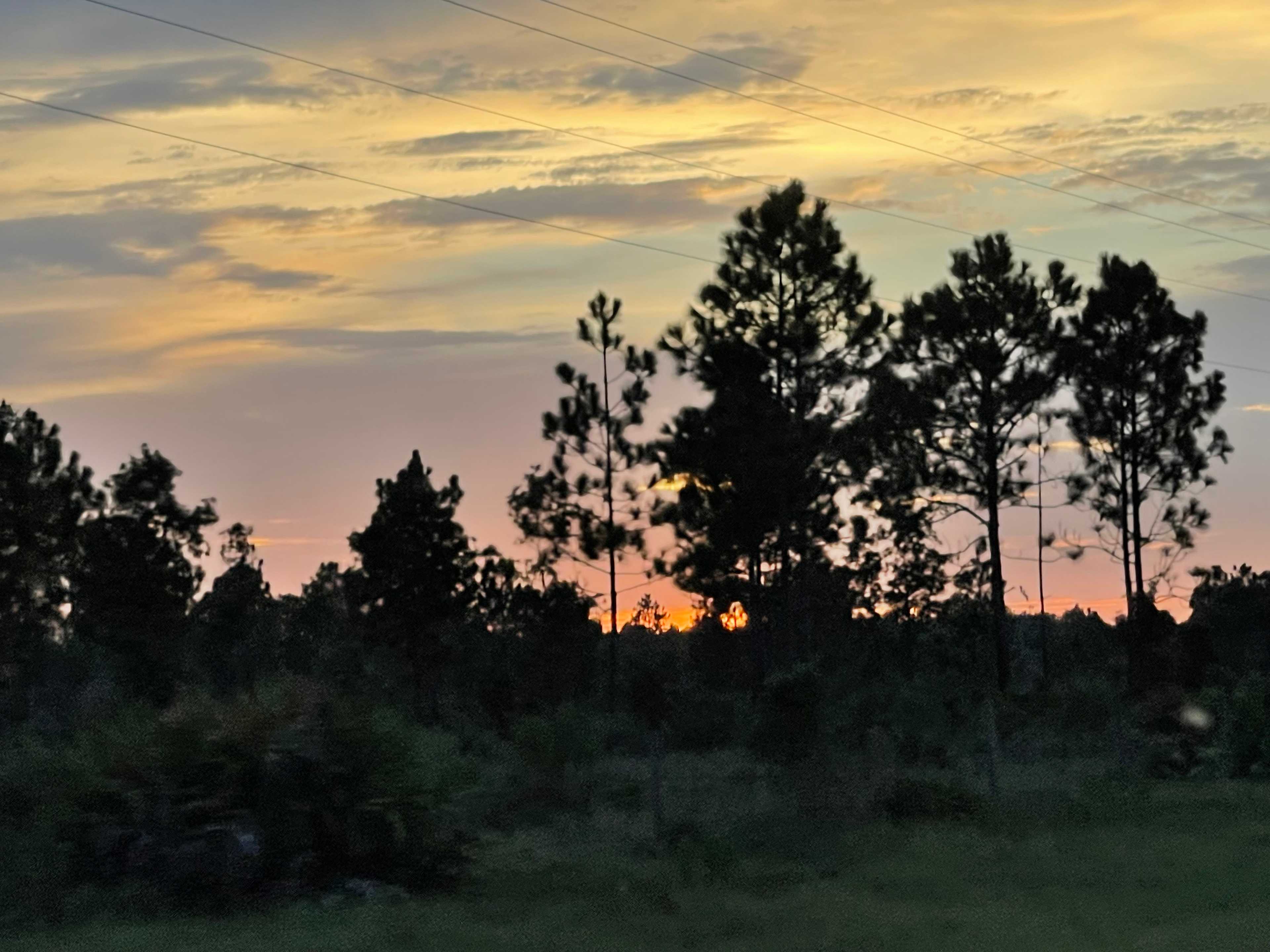 Relax at your private retreat where you and your family/friends can admire sunsets, gaze at the night sky unaltered by artificial light after a fun filled day at the beach, fishing or scalloping!