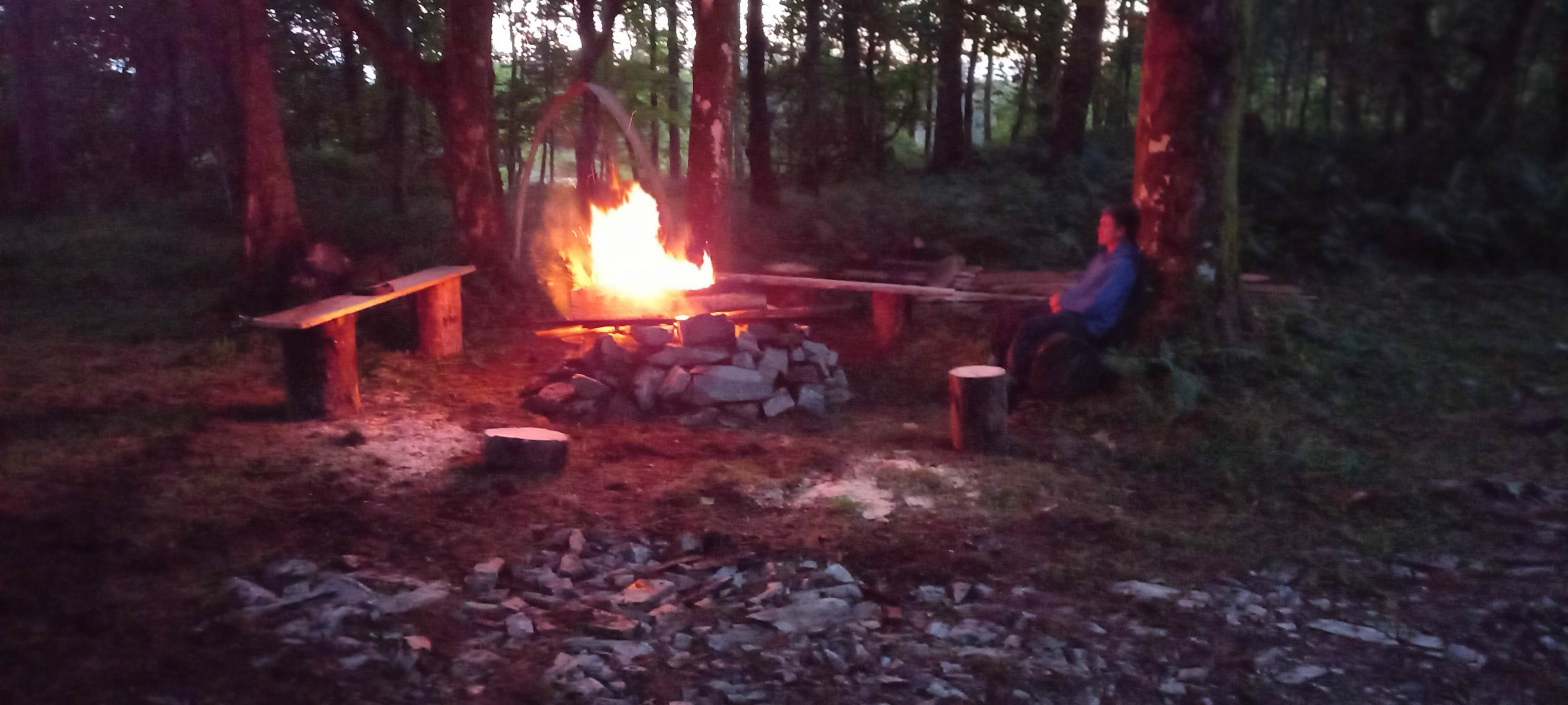Troquhain Woods