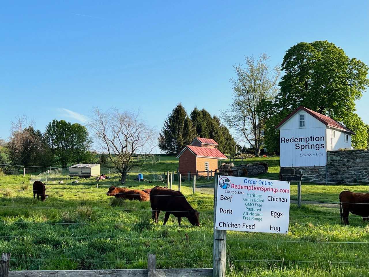You will have a beautiful pastoral view with whoever is being rotated through that pasture at the time.  Chickens, Turkeys or Cows may be your neighbours on any given day.  