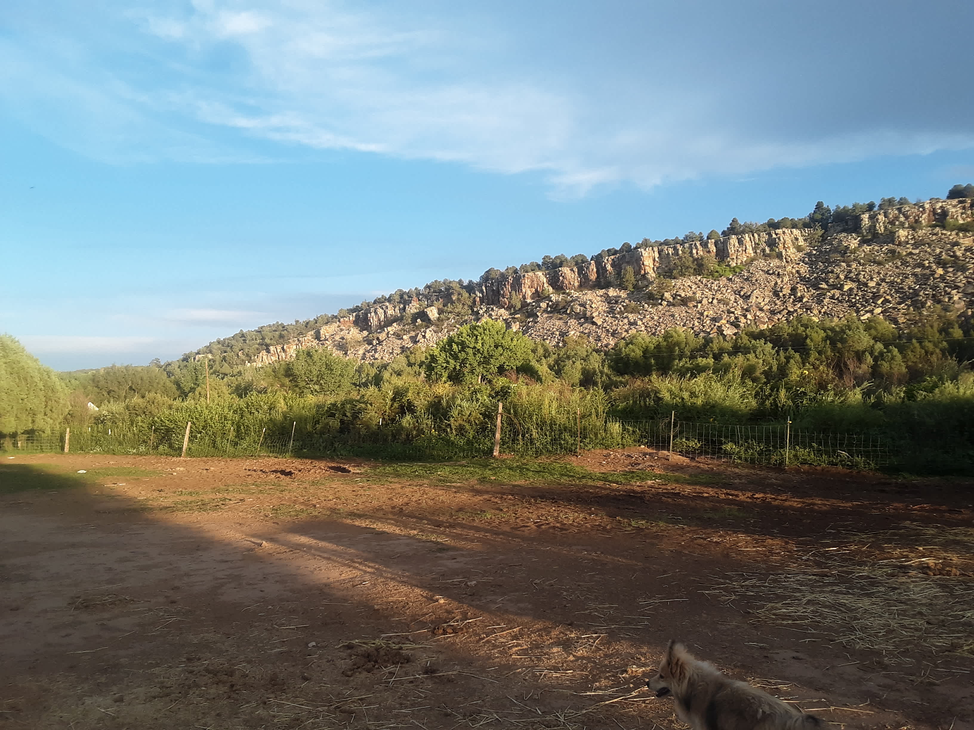 Picture of the site