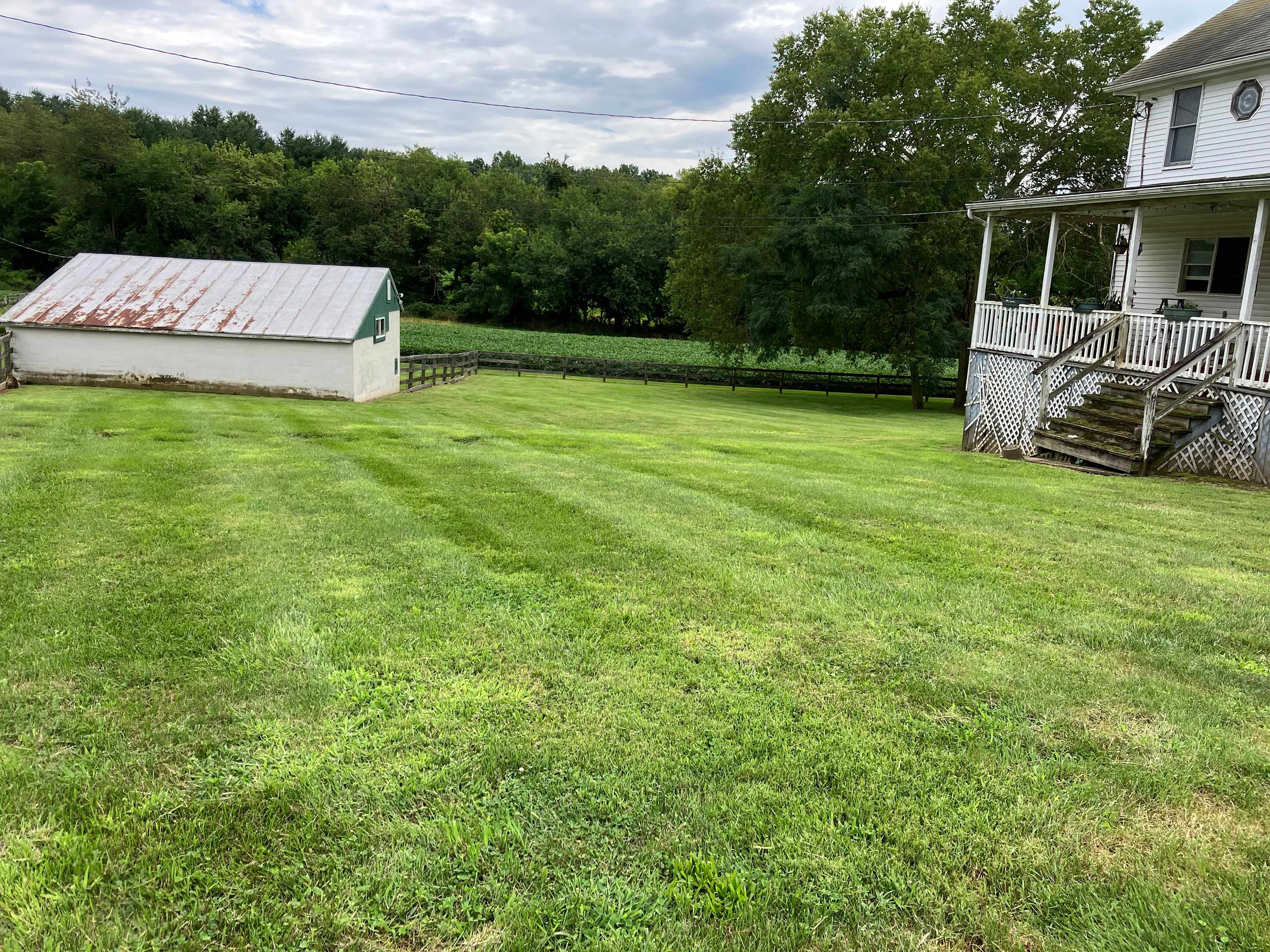 Large fenced yard can be reserved to let your dog run.