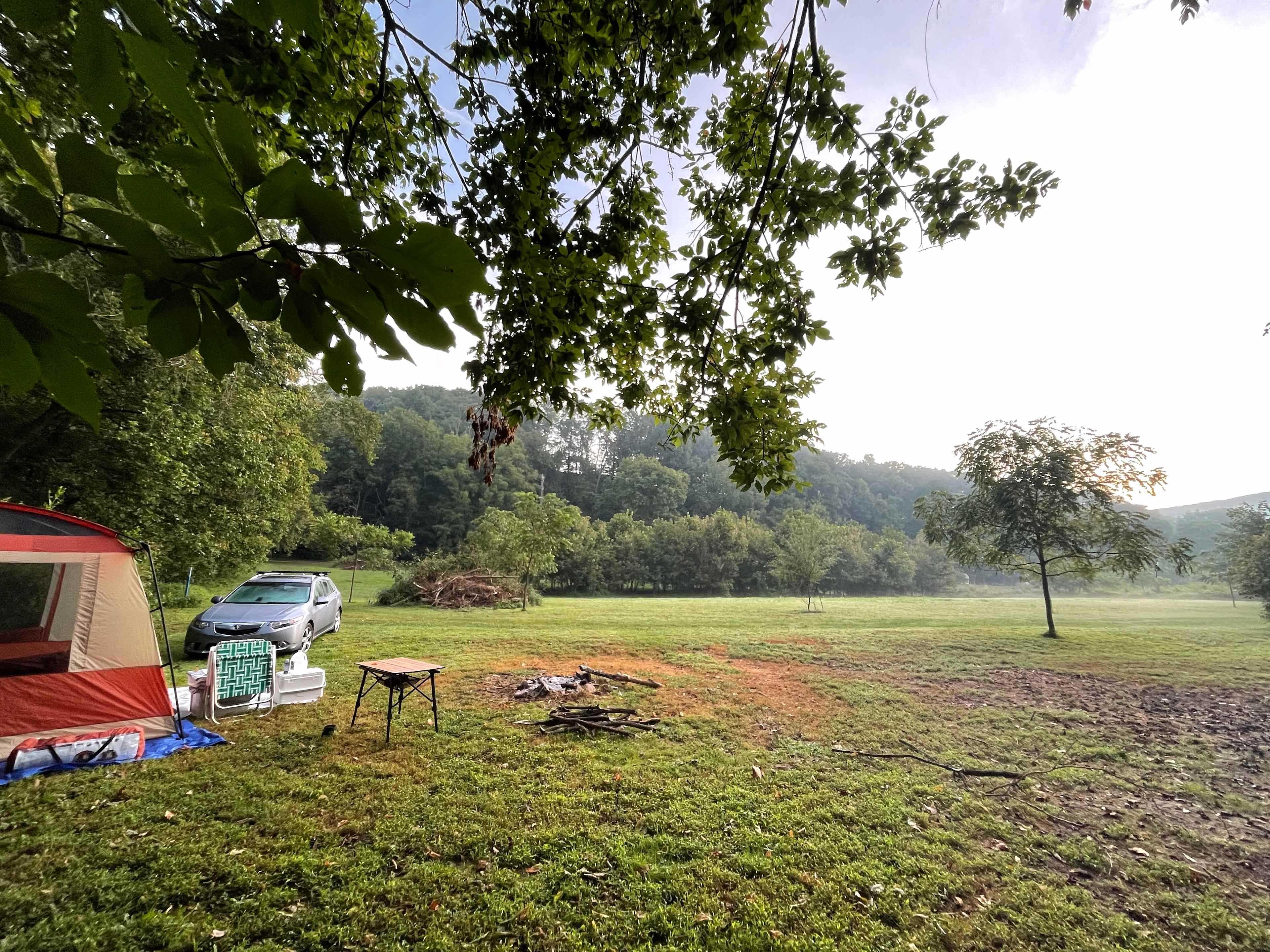 Picture of the site