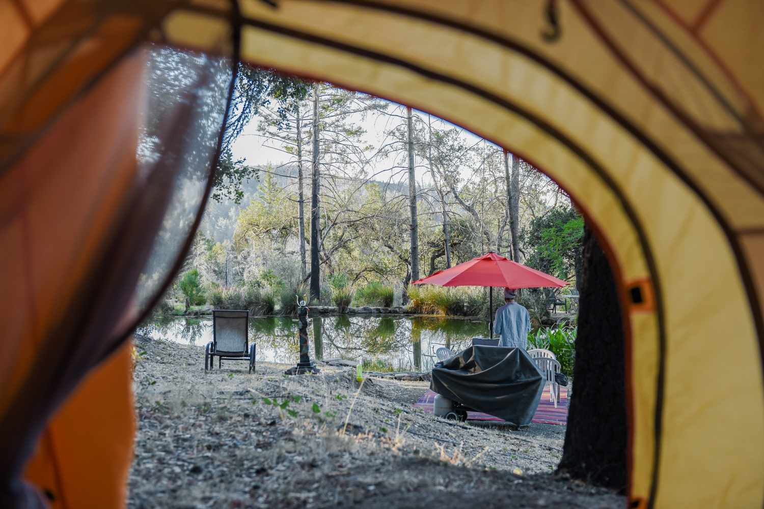 Above the Clouds RV Park