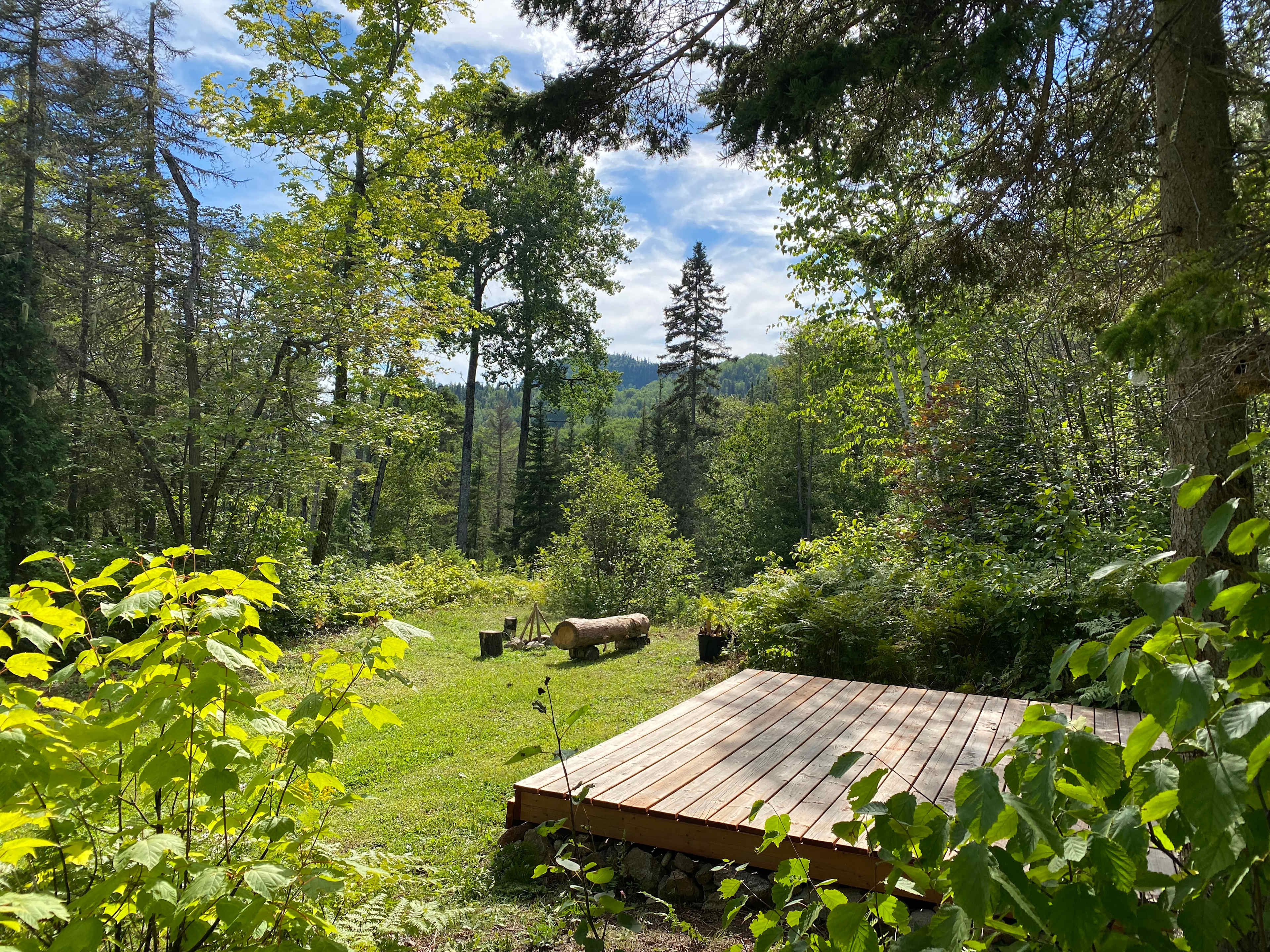 Picture of the site