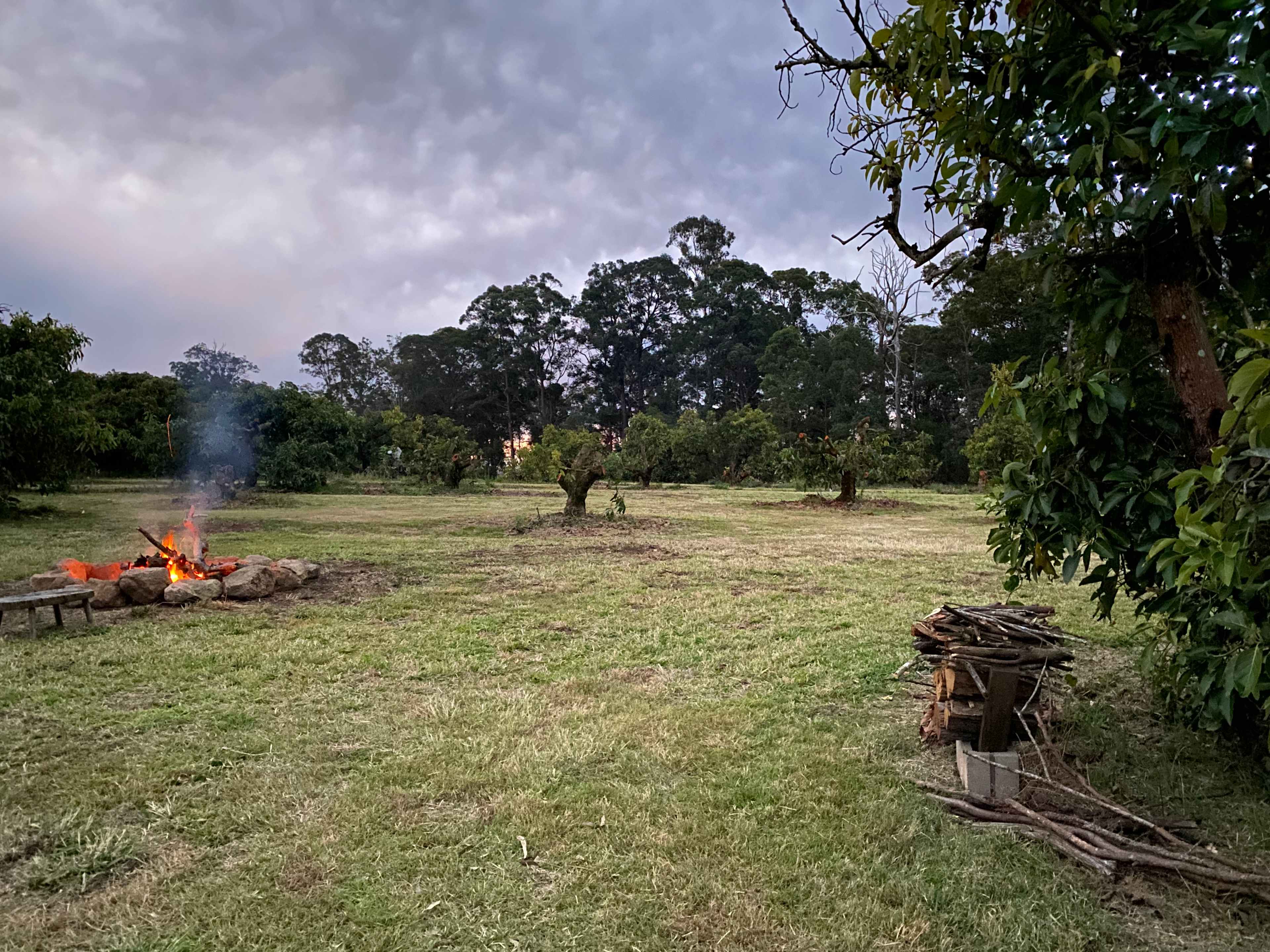 Picture of the site