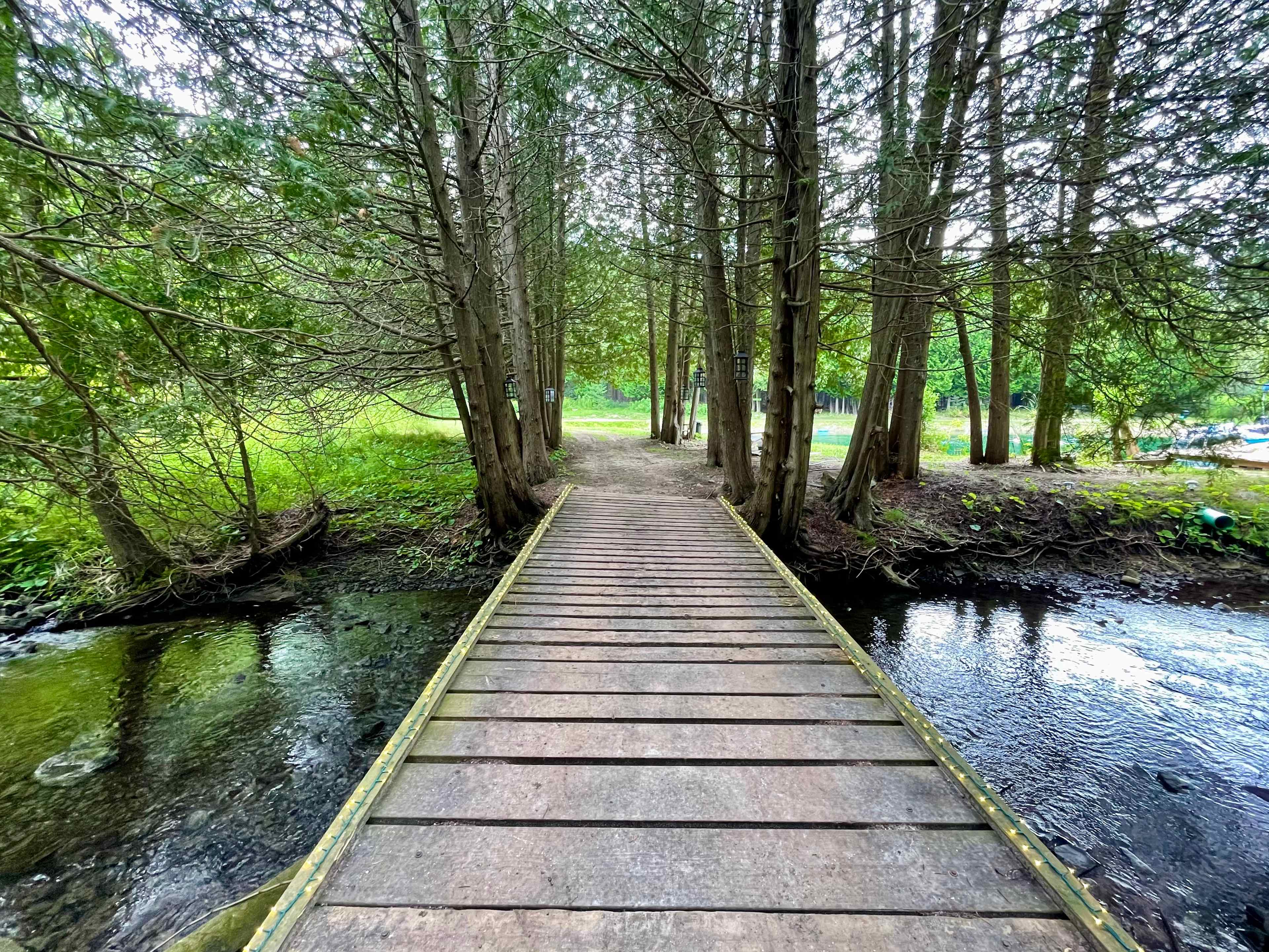 Walking Bridge to Cedar Cove