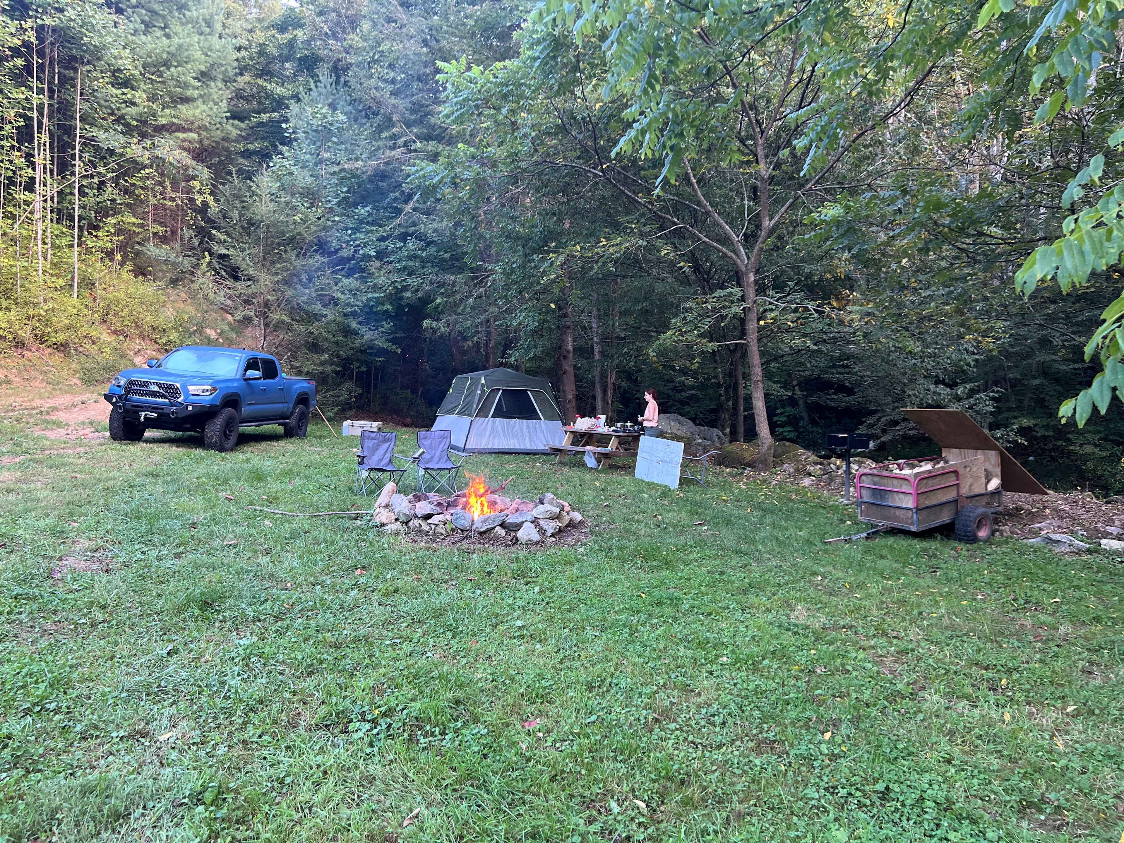 Picture of the site
