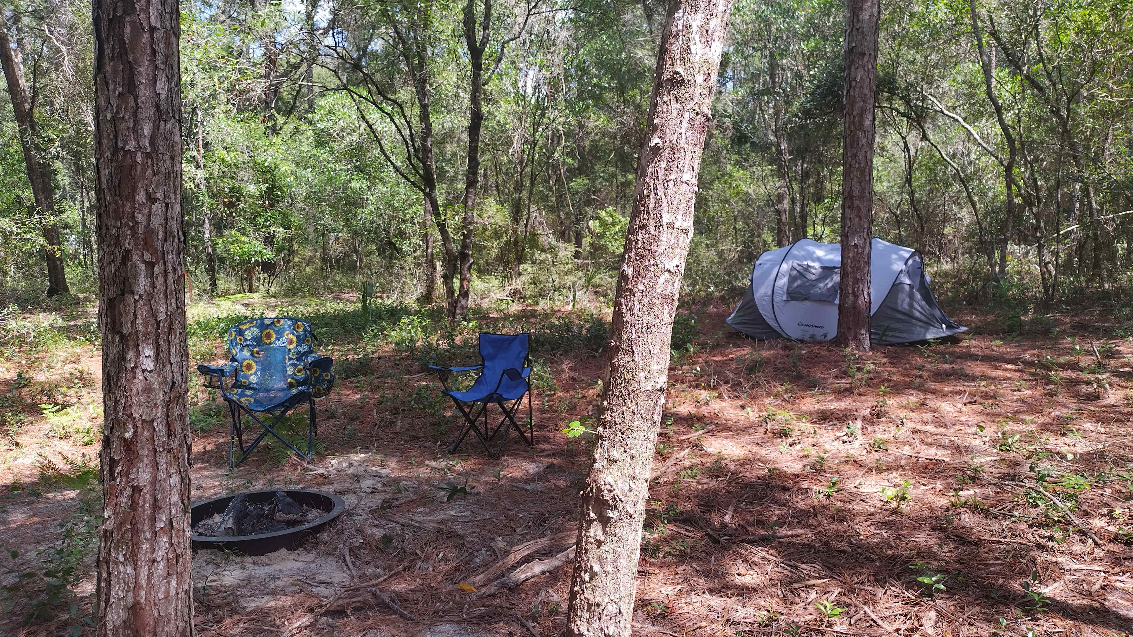 Omar B.’s Land