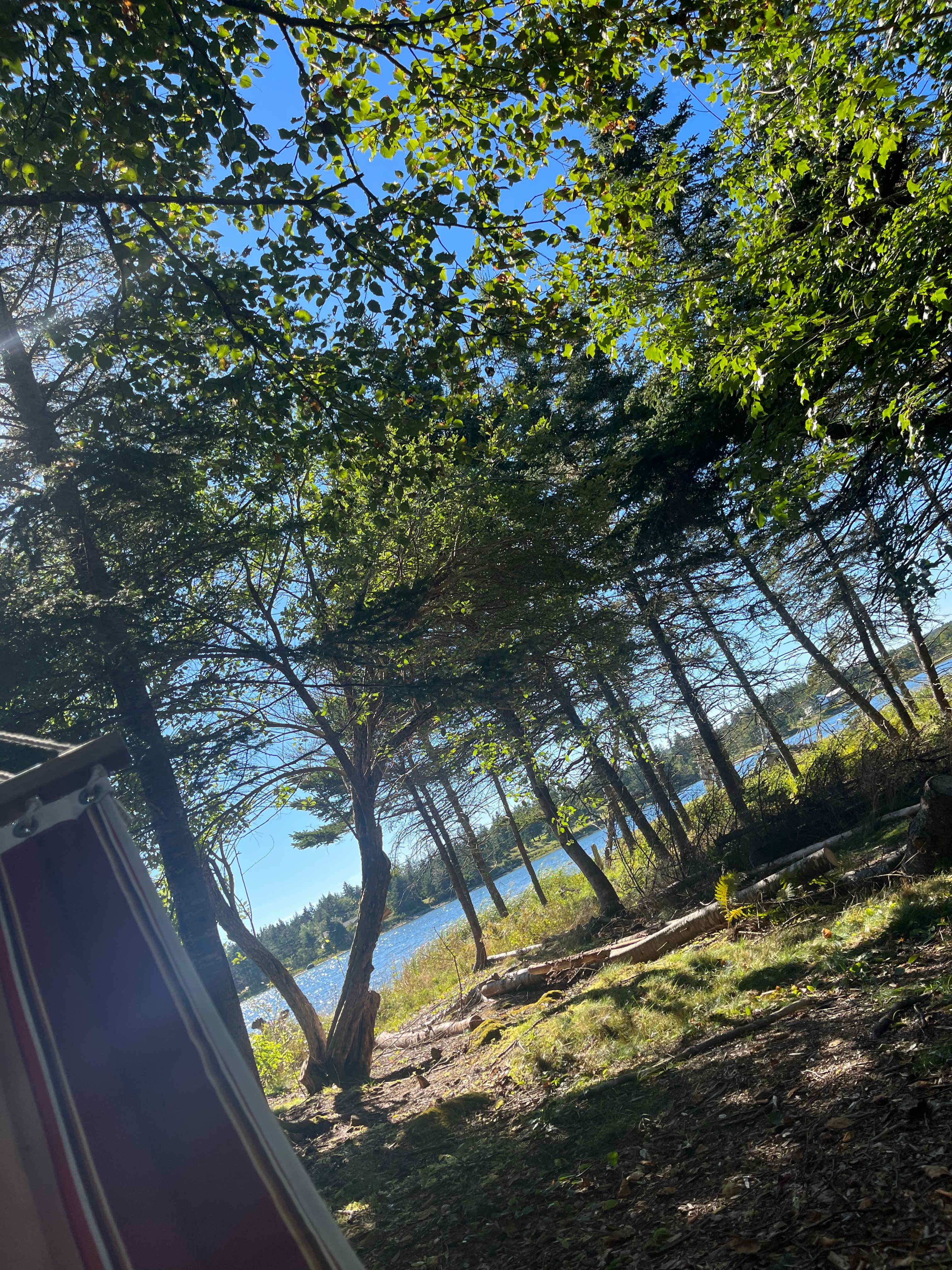 Wild Islands Camping by the Sea