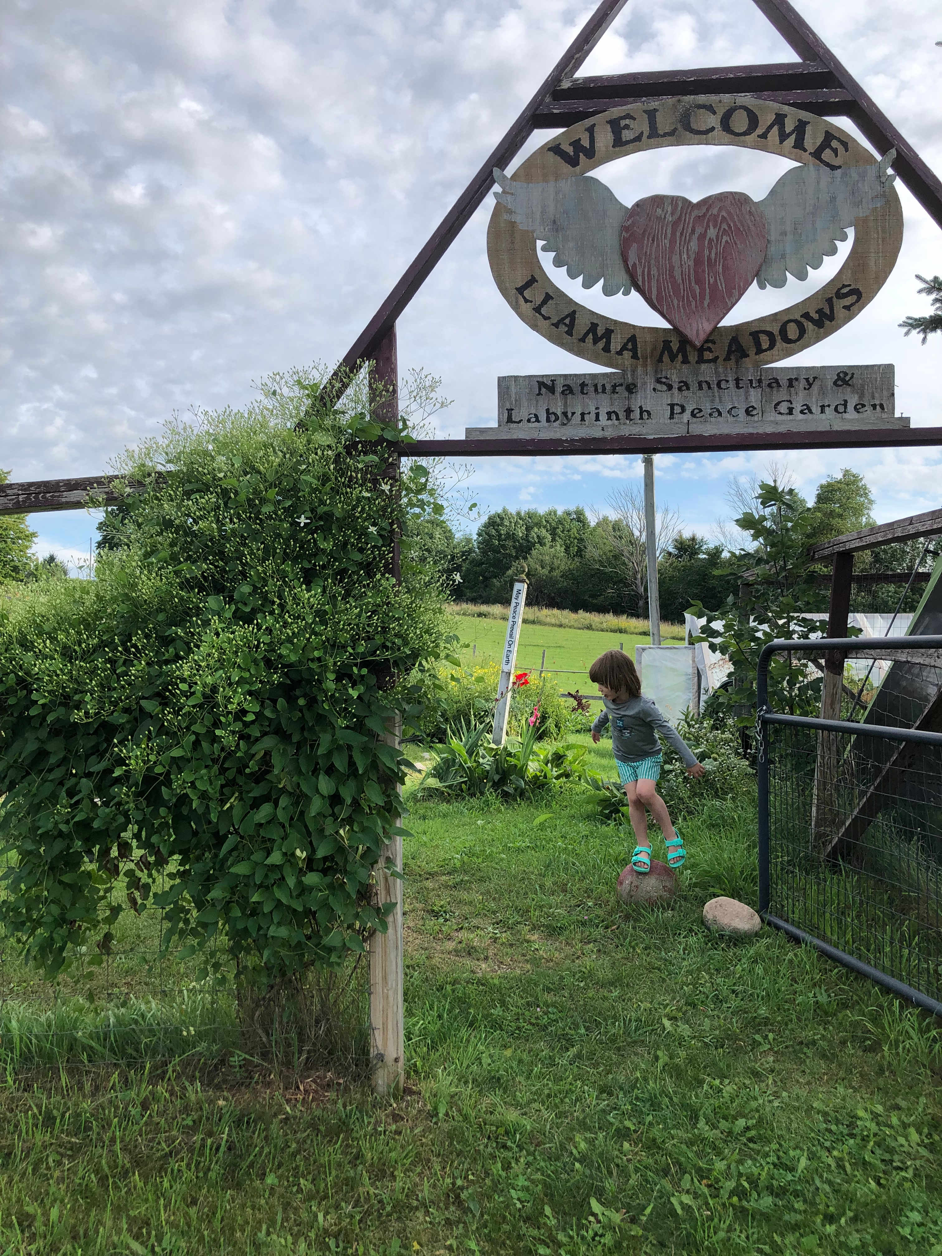 Picture of the site