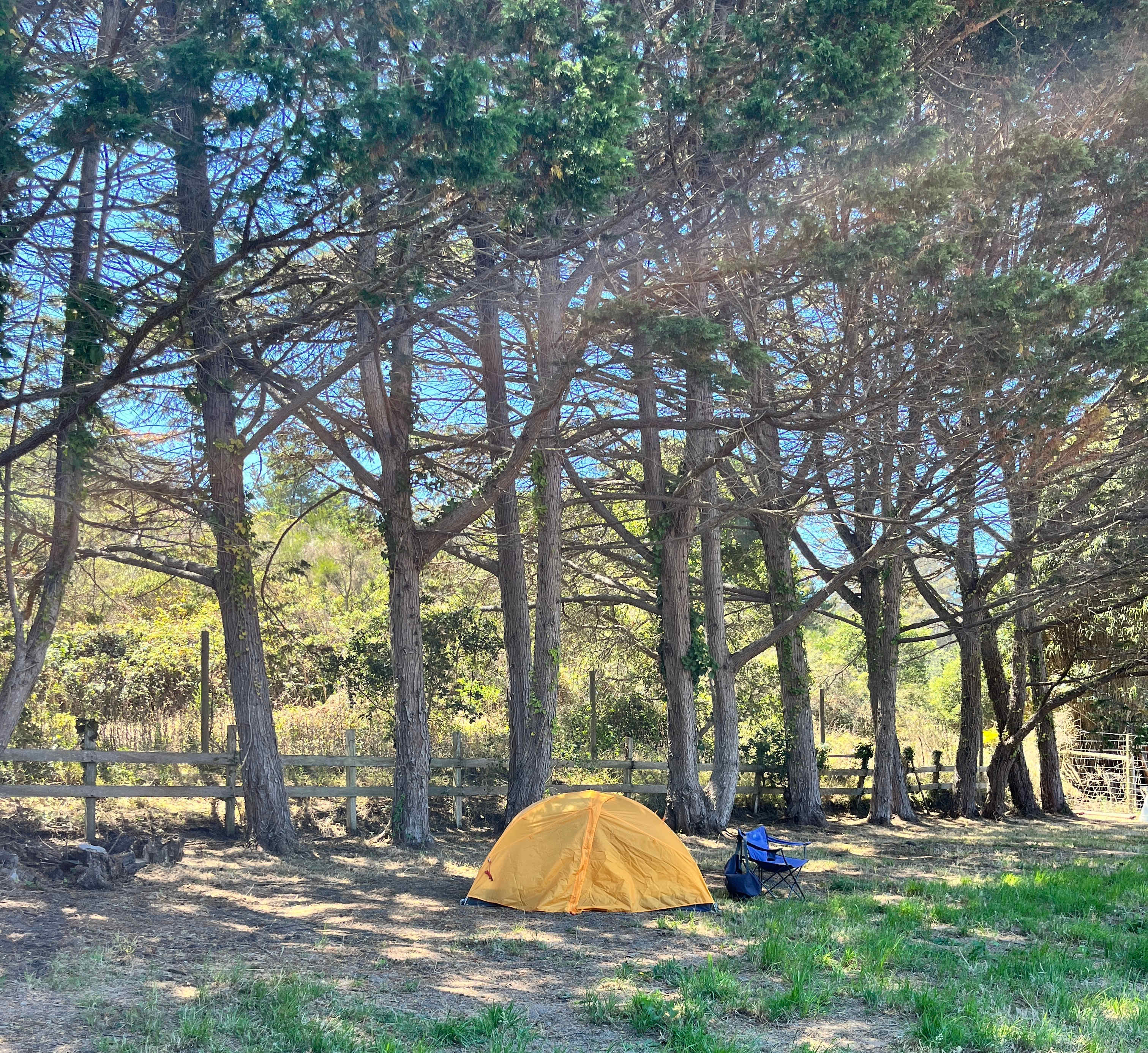 Picture of the site