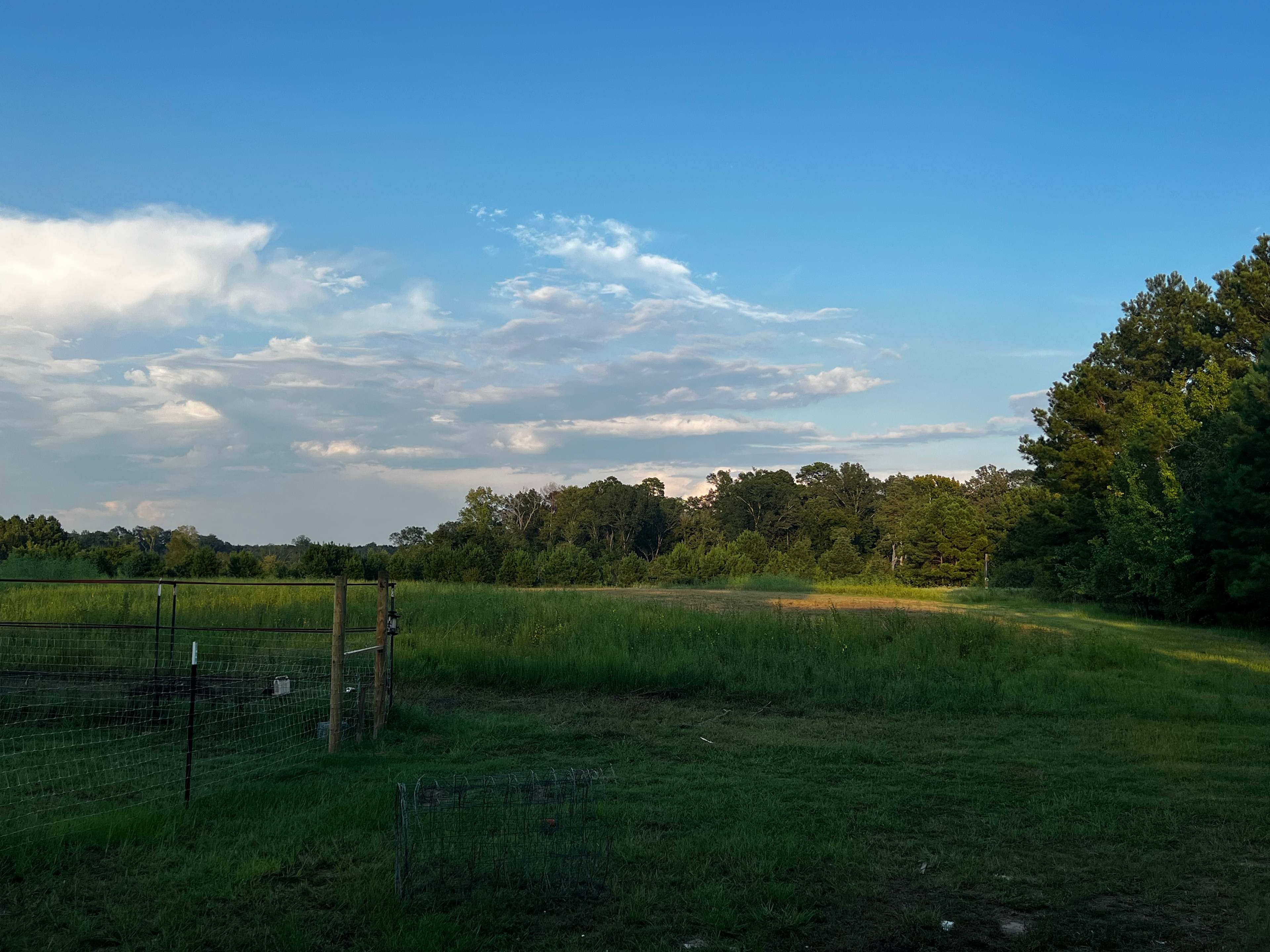 Front of the property, pasture. 