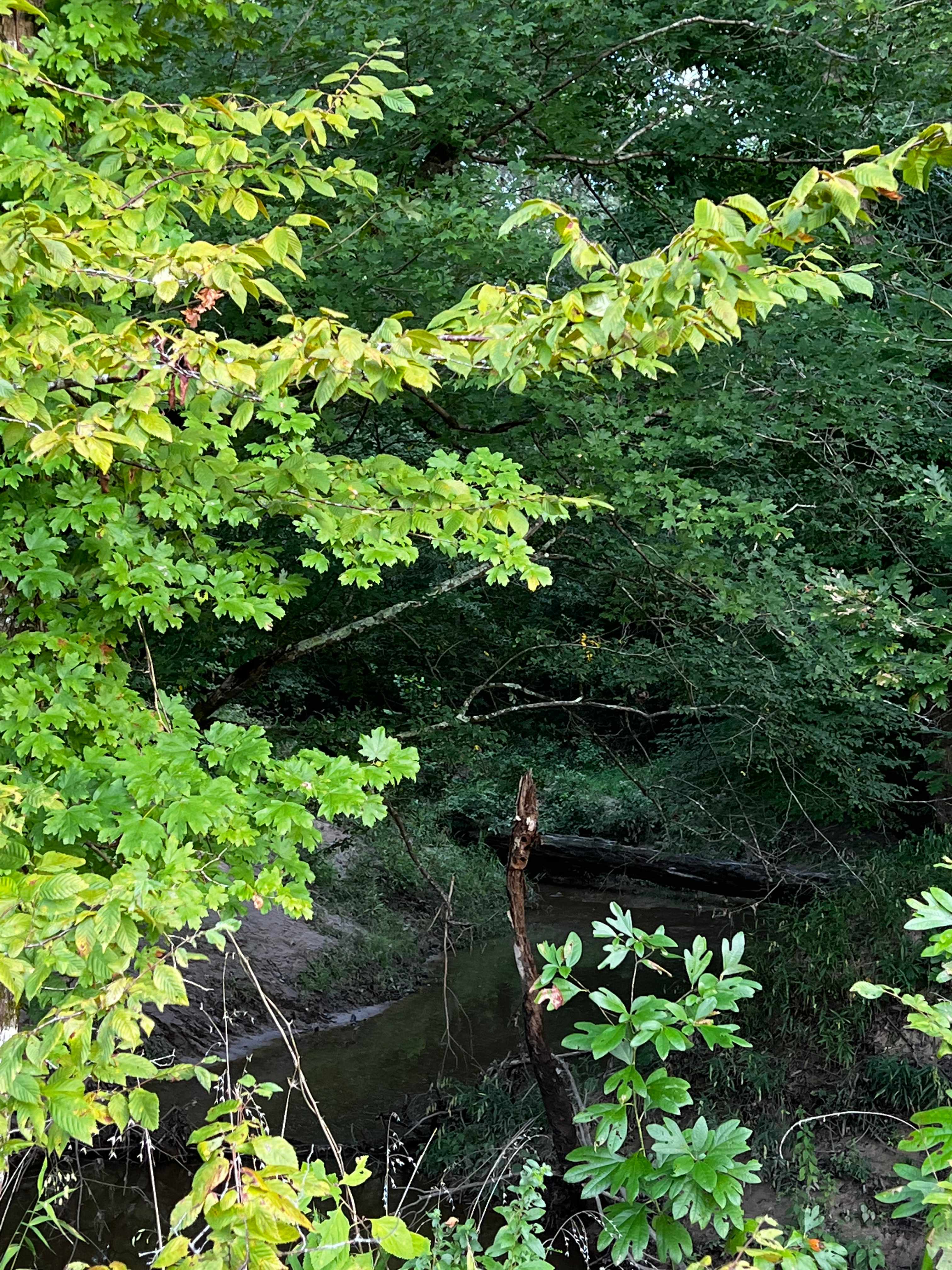 Camp Quapaw