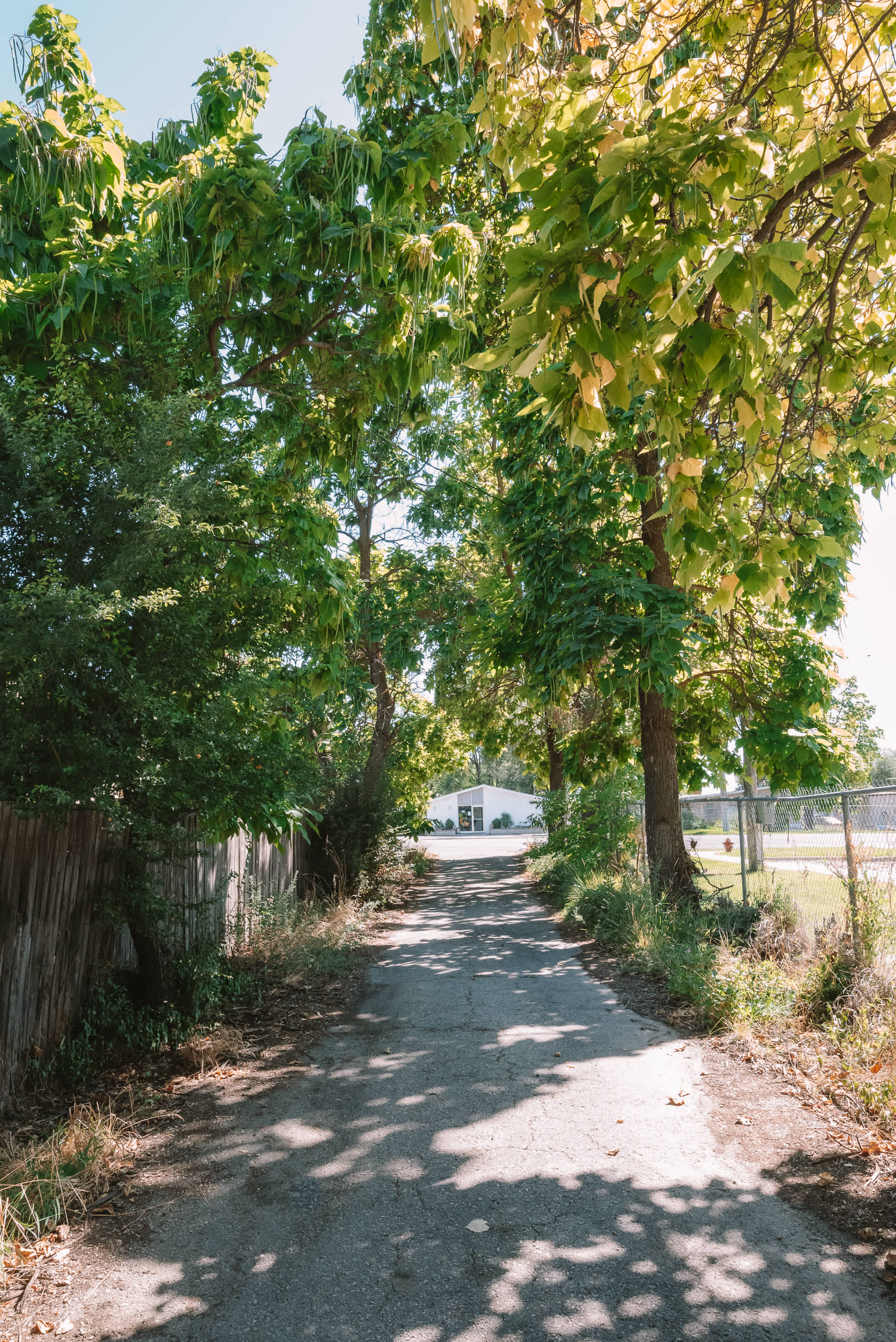 Driveway coming onto the site. 