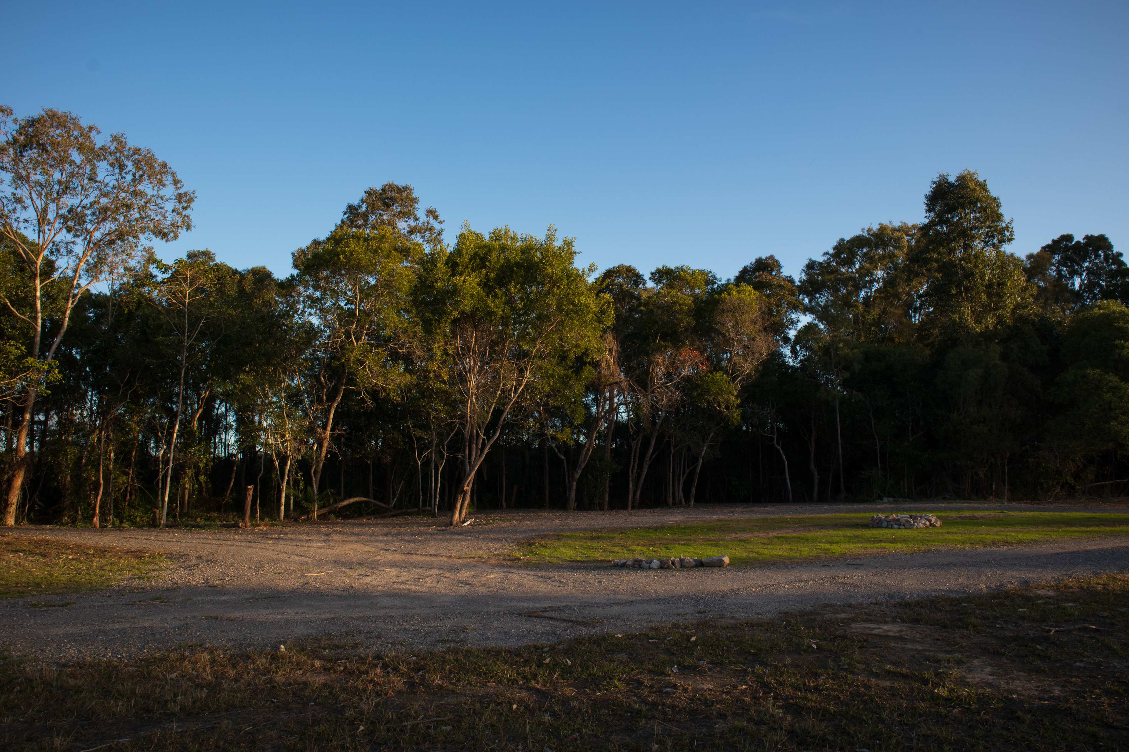 Conservation Camping at Maroochy