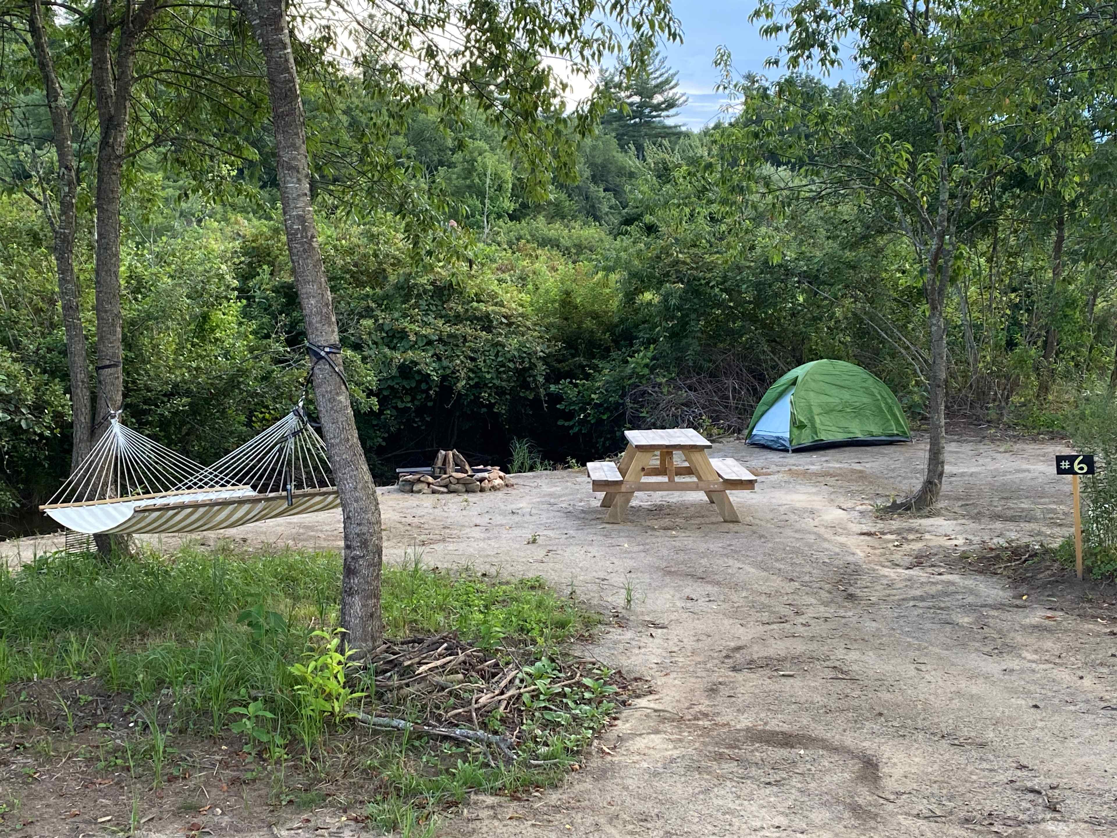 Picture of the site