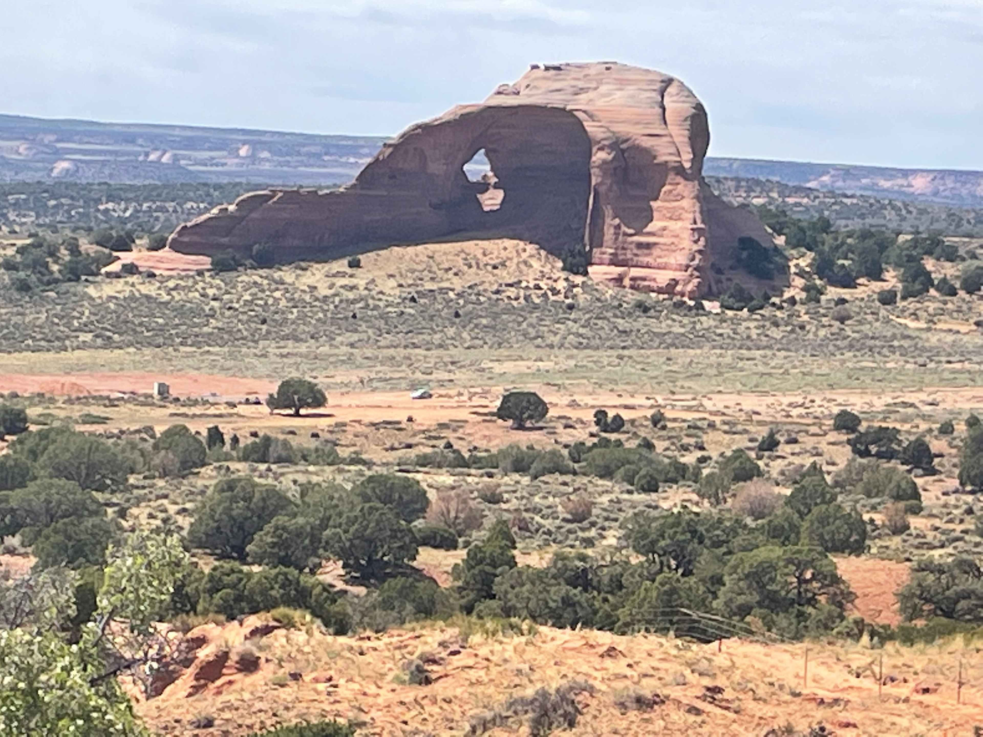 Picture of the site