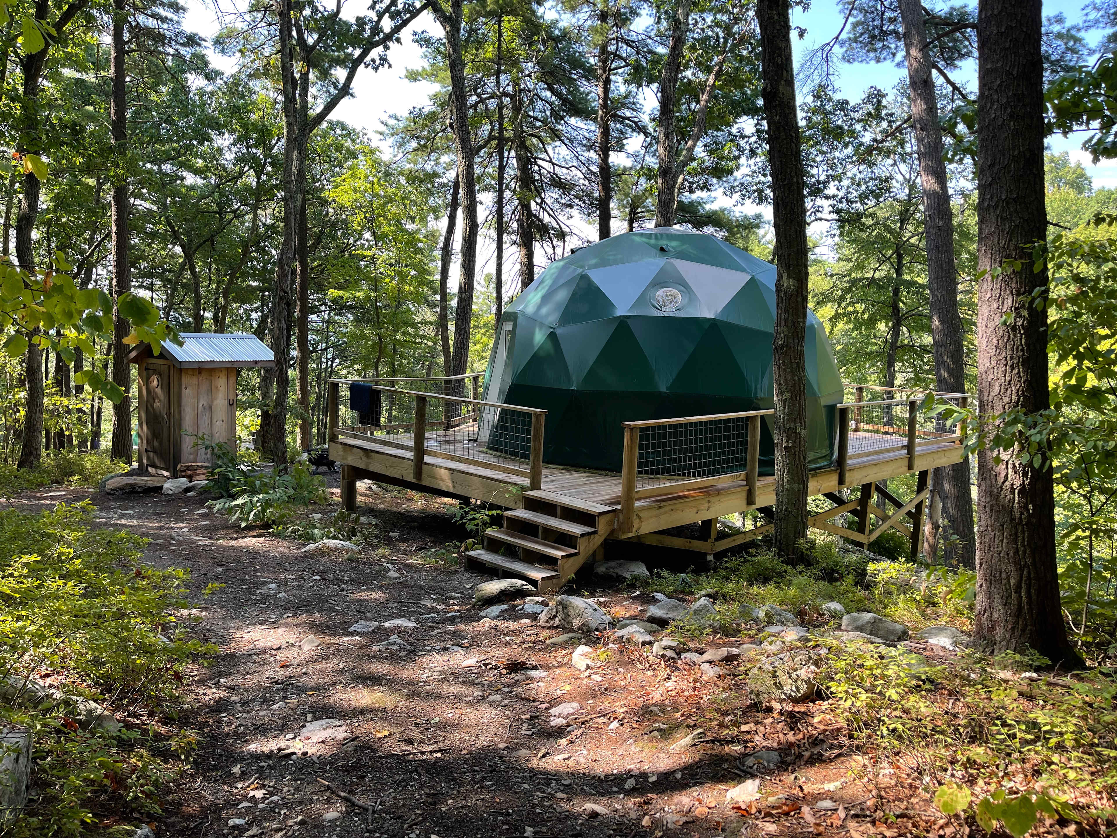 Picture of the site