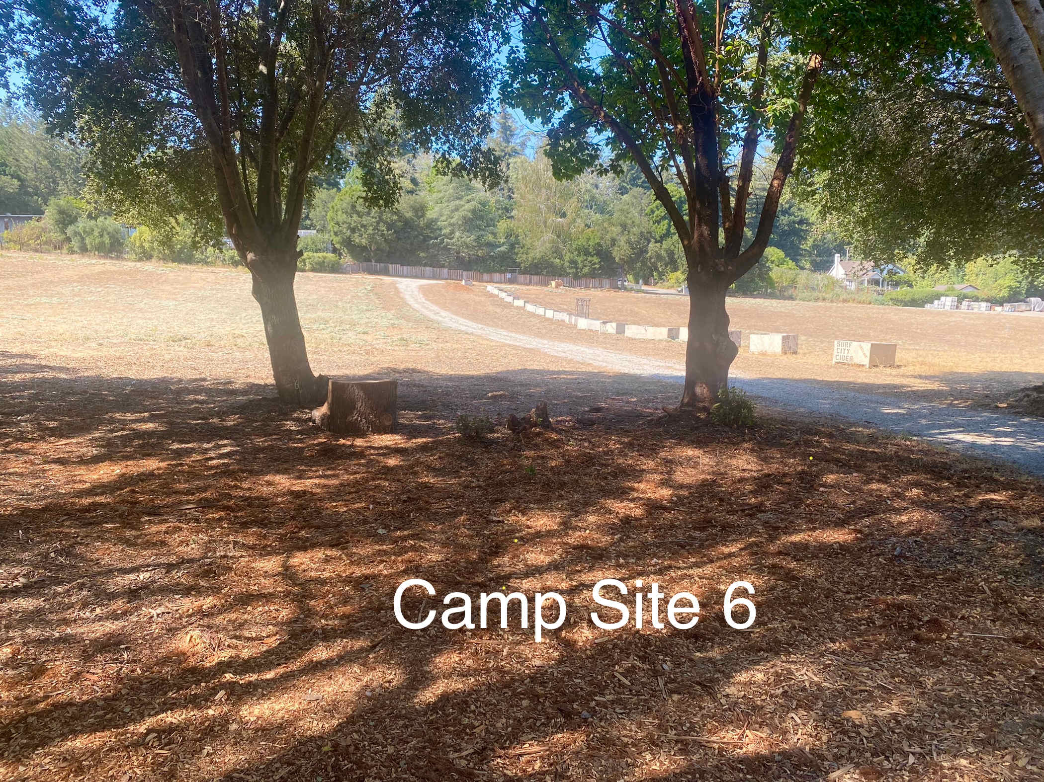Felton Open Space Camp Sites