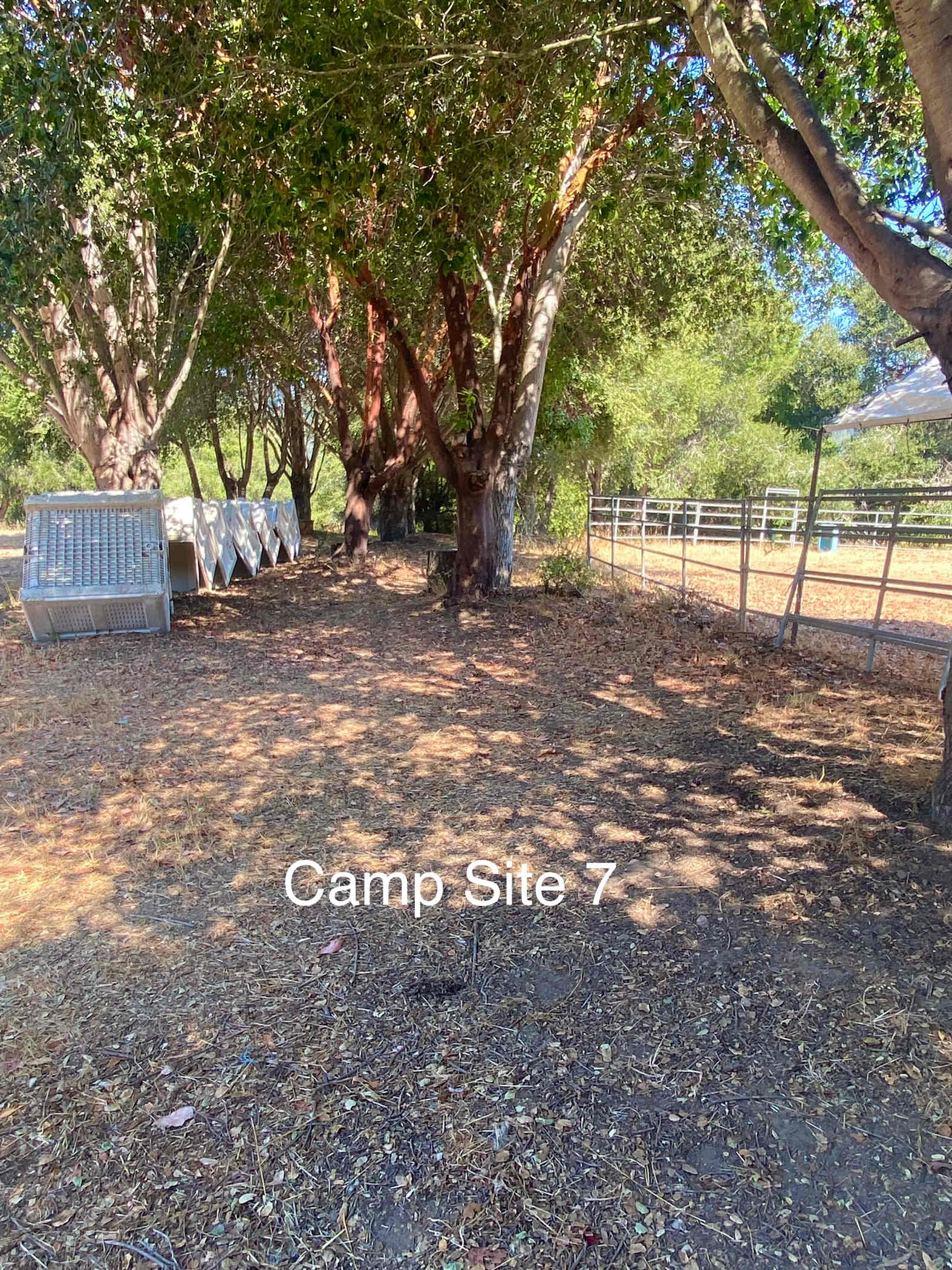 Felton Open Space Camp Sites