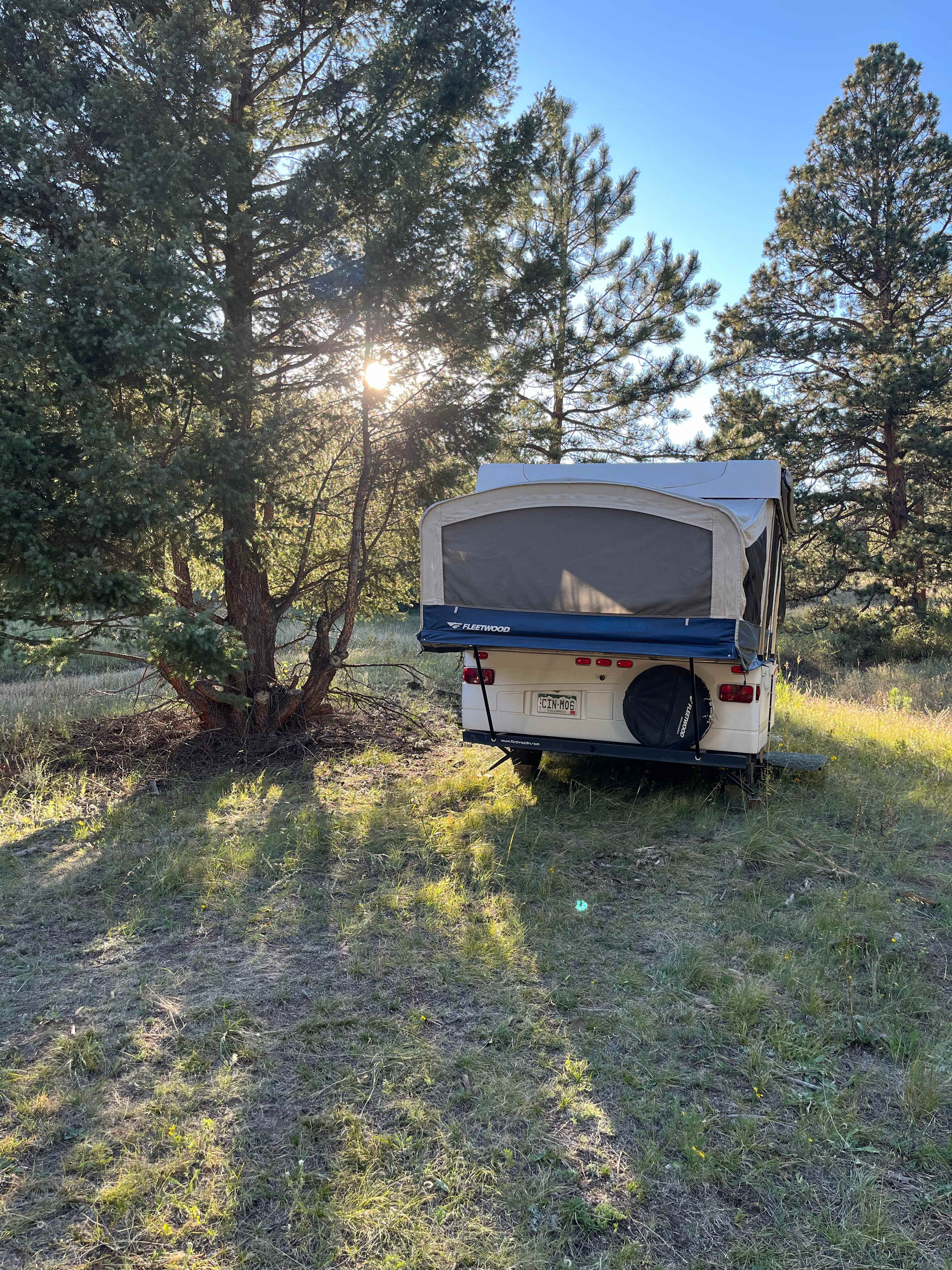 Serenity in the Foothills