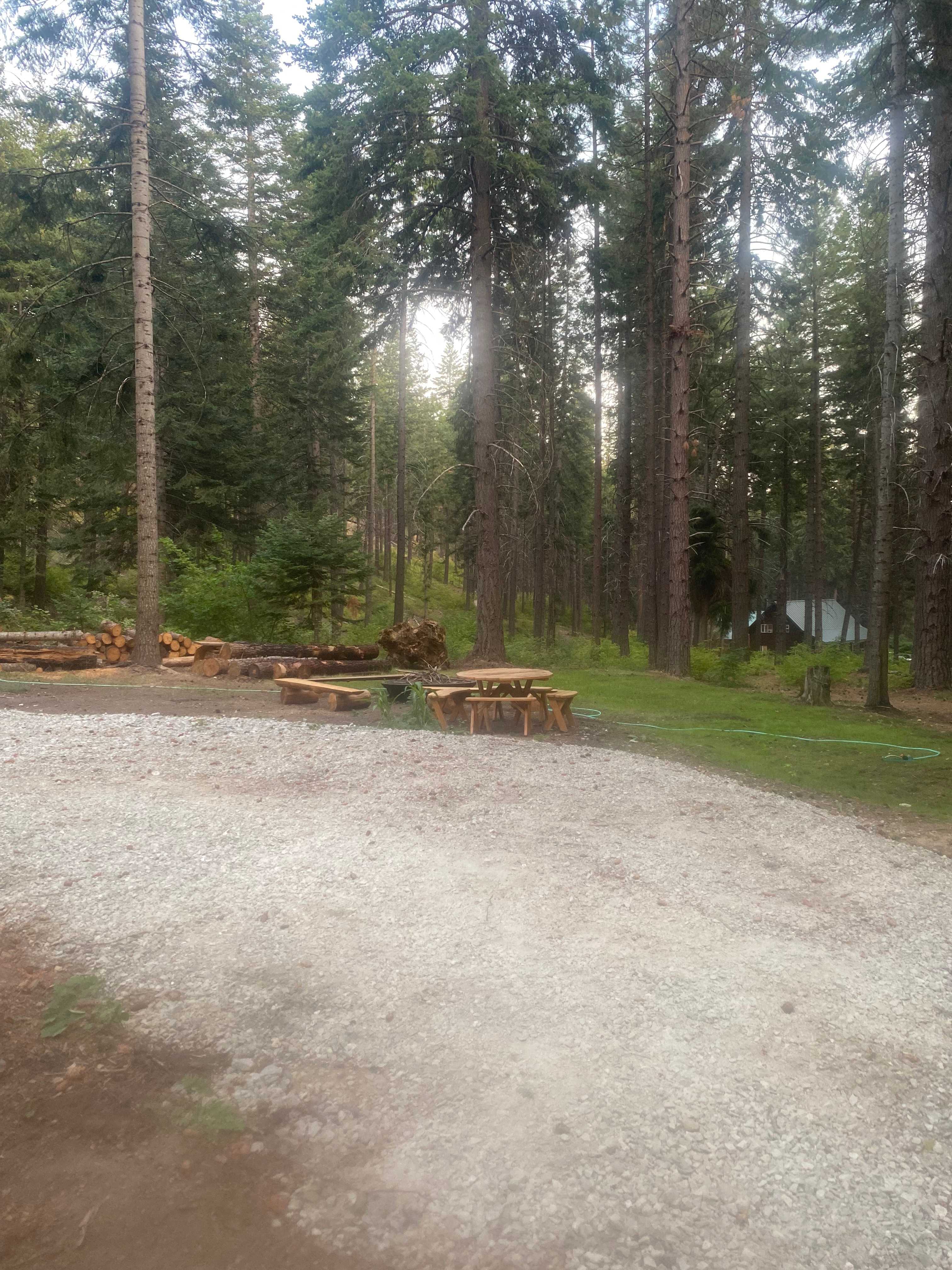Enjoy views nature  Wild turkeys and deer pass through 