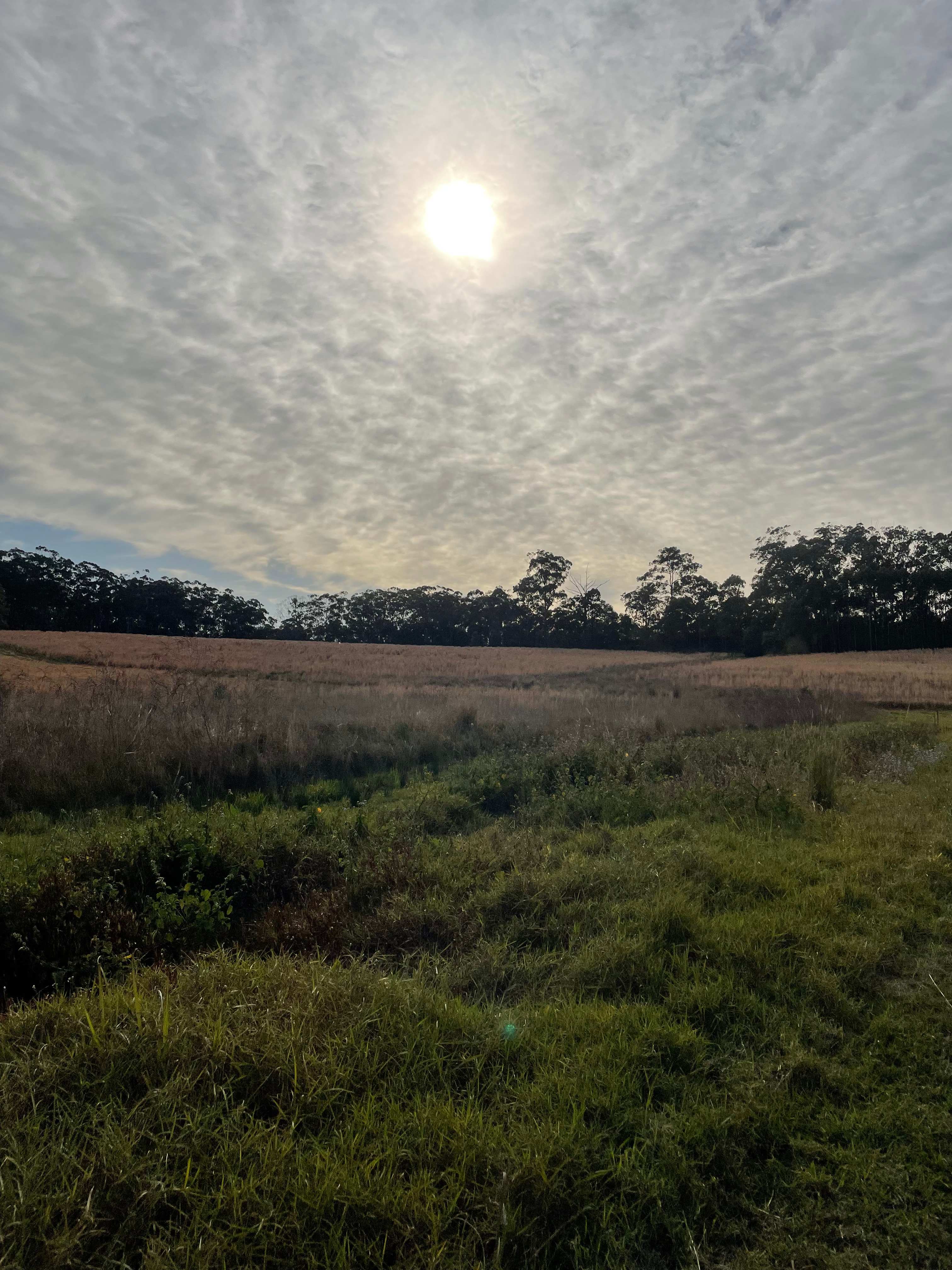 Bagotville Farm