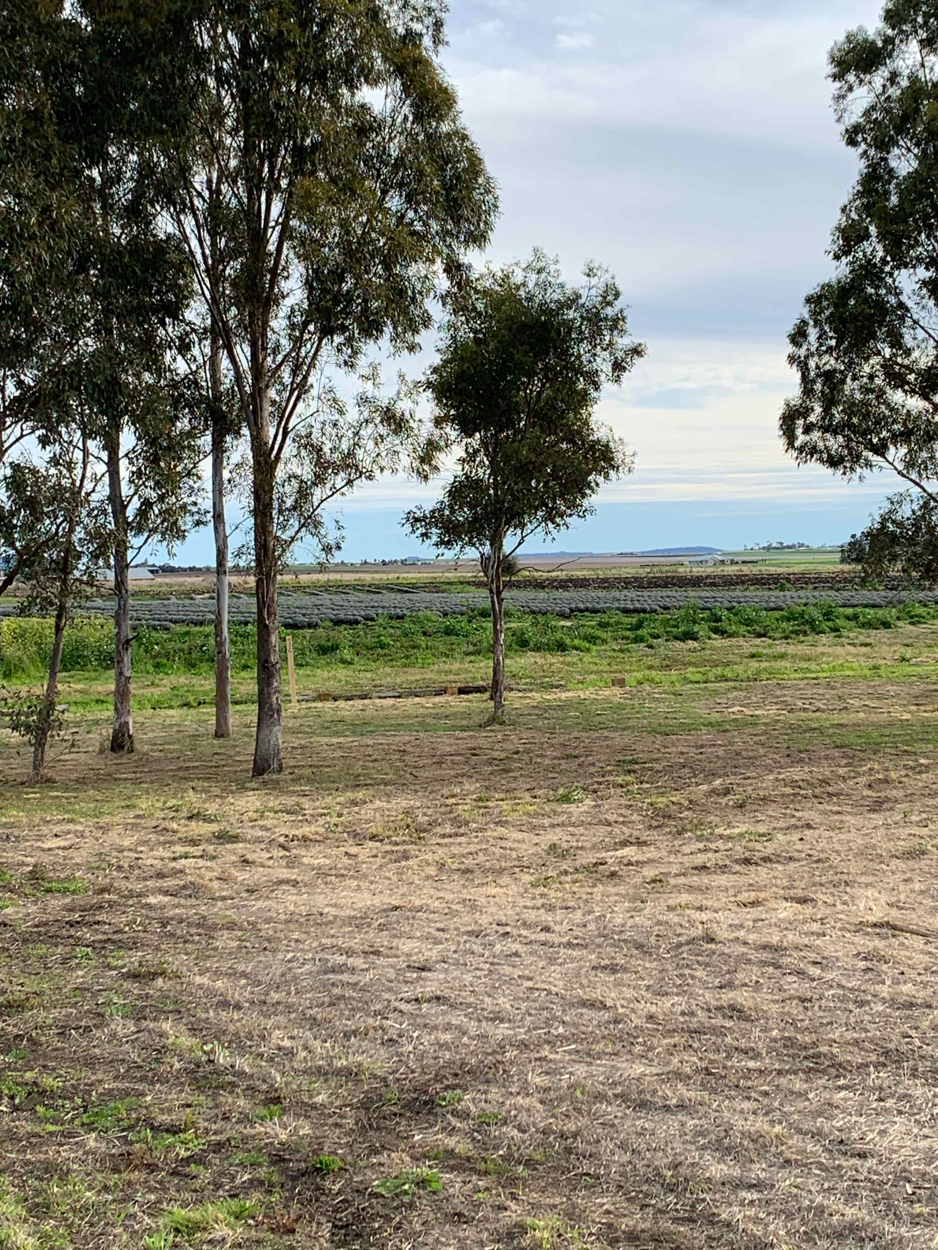 Windy Acres Farm