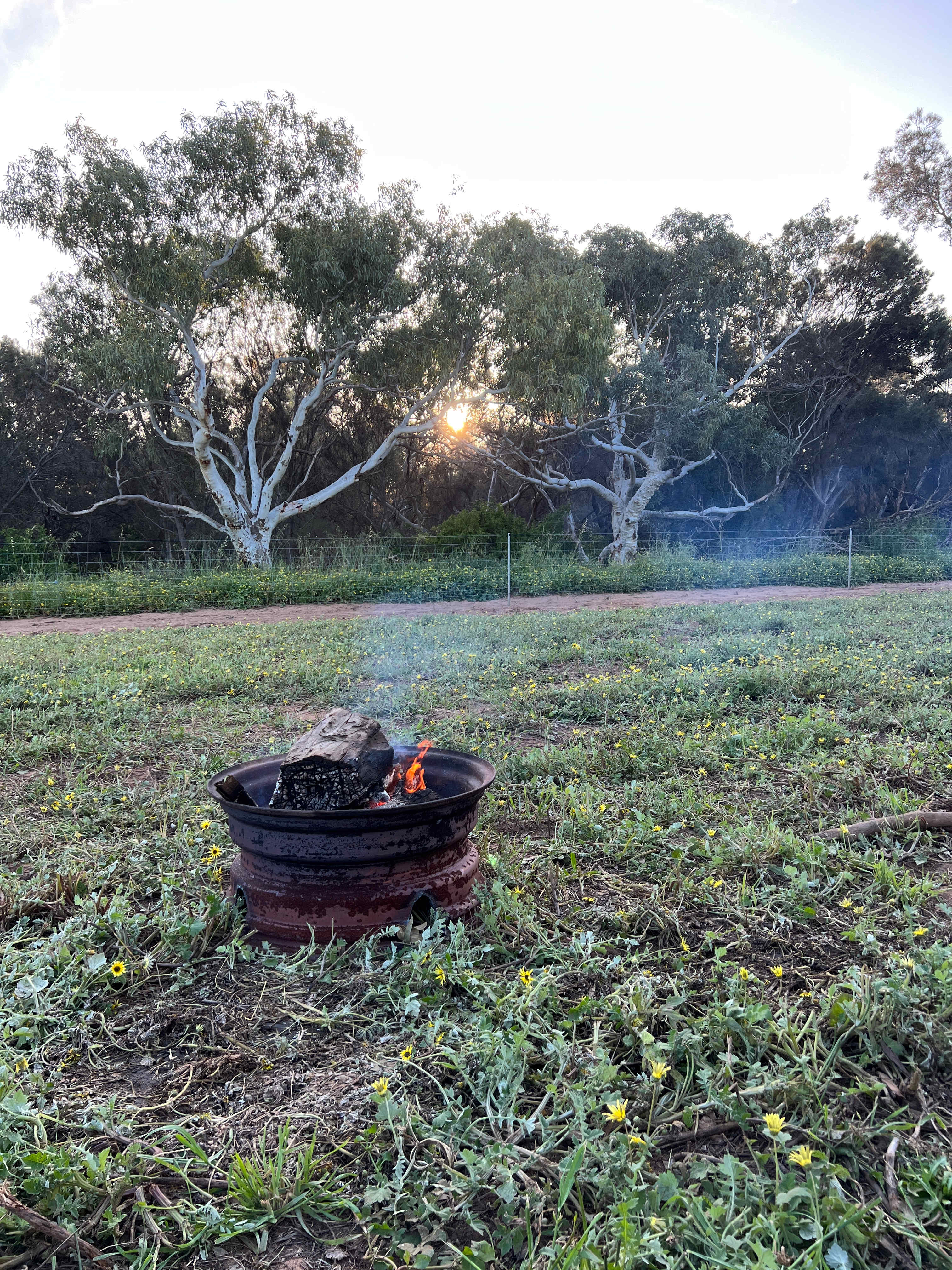 Afternoons by the campfire 
