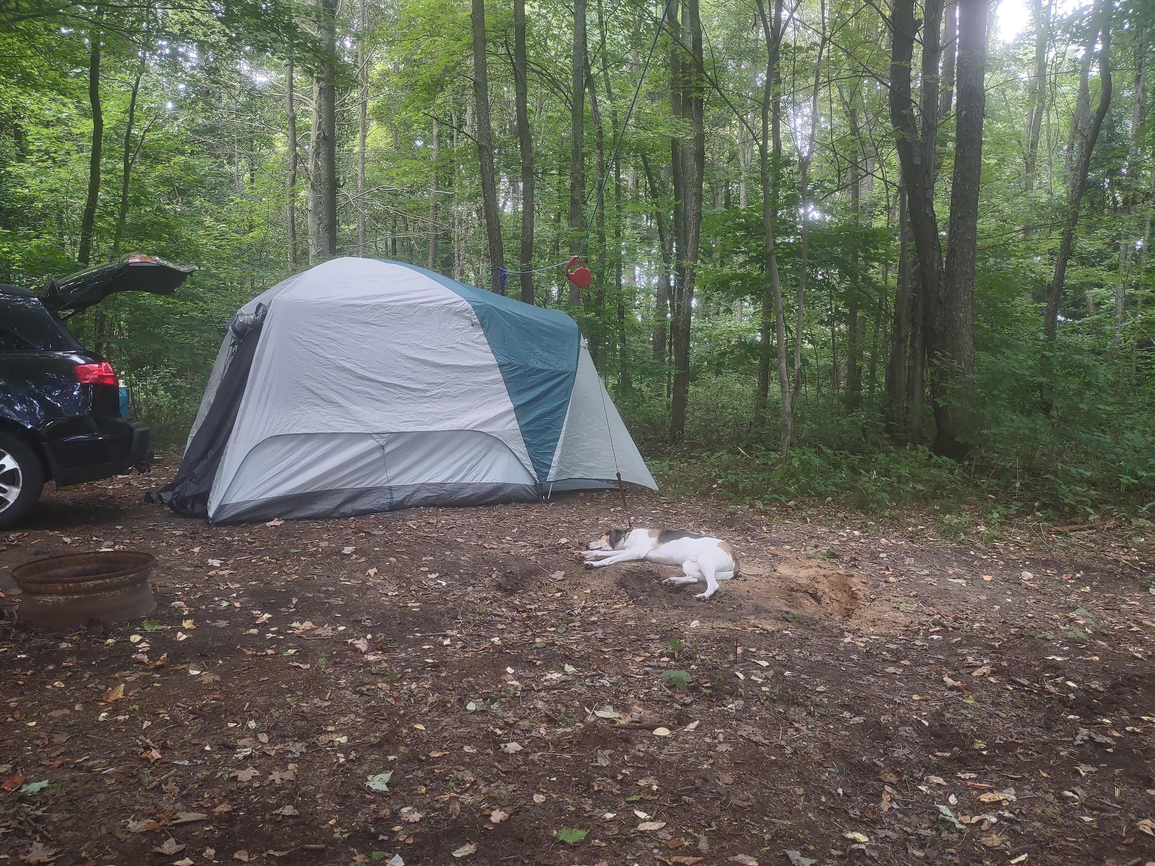 Pelee site had a big, flat area for the tent. Lots of trees and privacy on one side, open to the forest road on the other side.