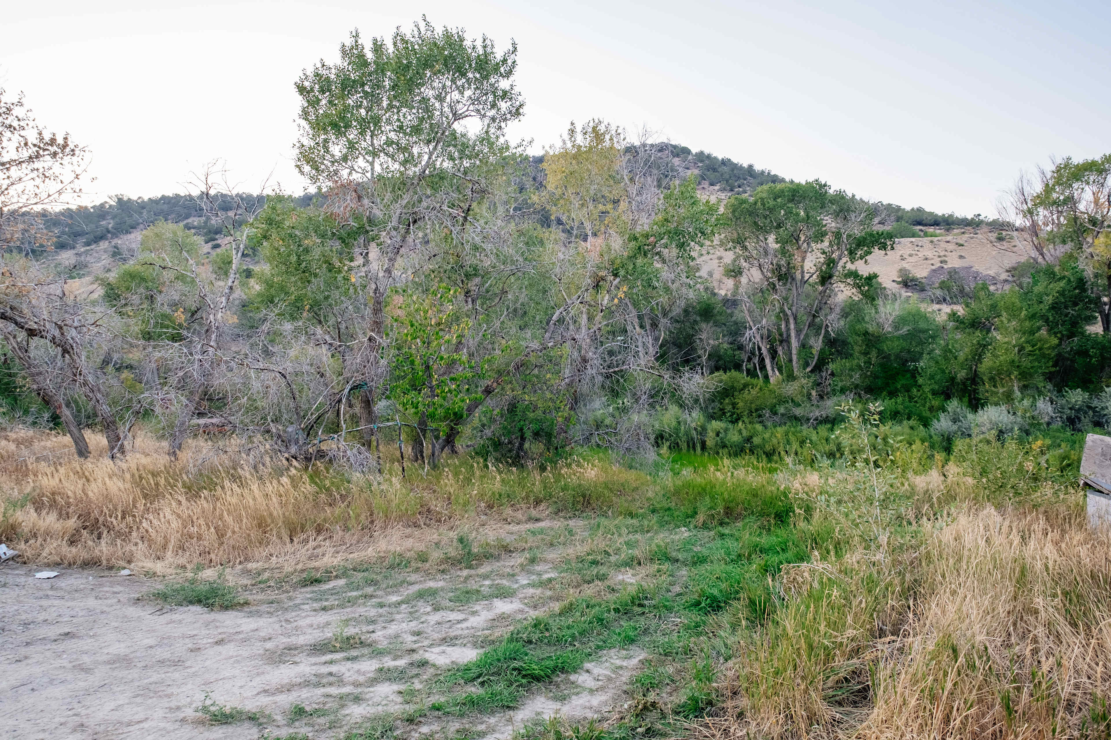 Riverside spot 2