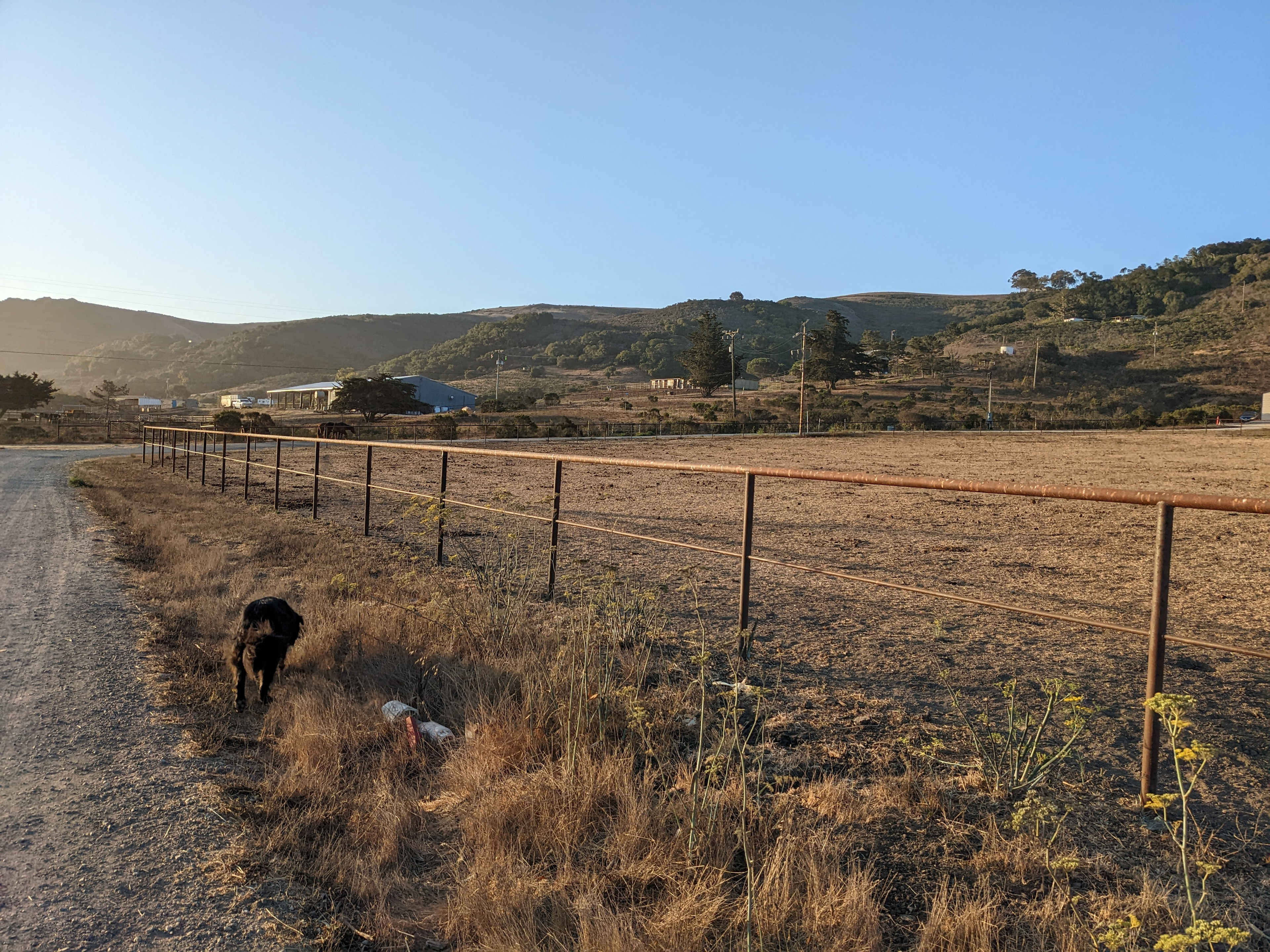 Organic farm and horse camp