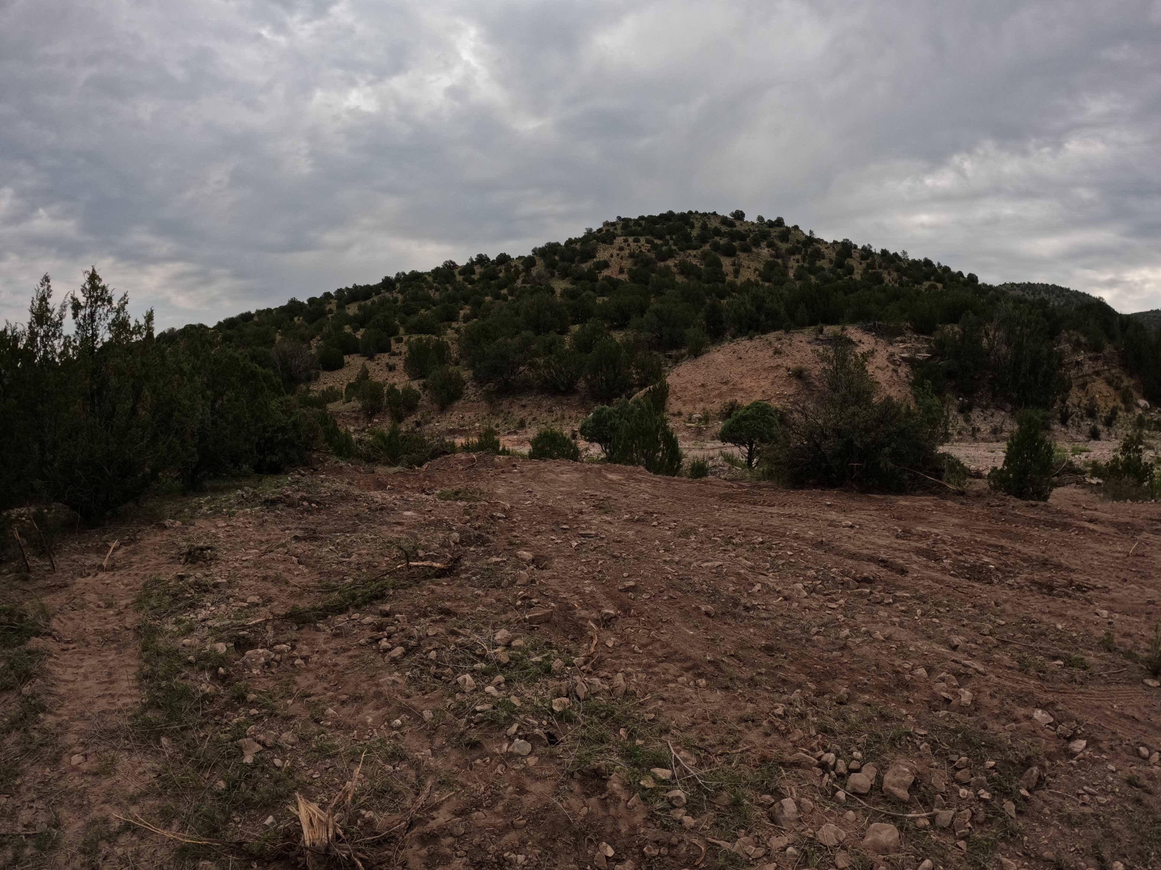 Cienega Arroyo Ranch