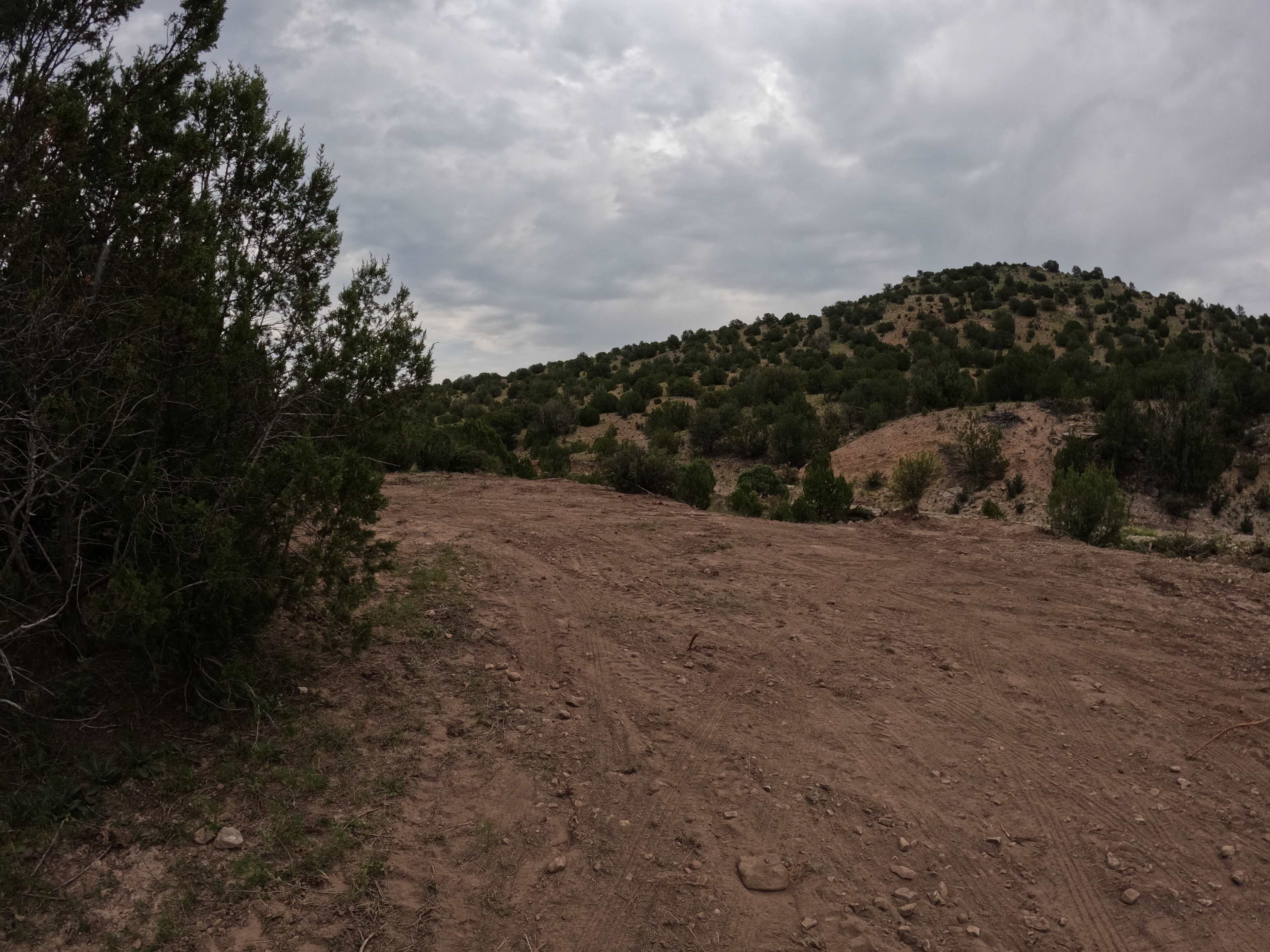 Cienega Arroyo Ranch