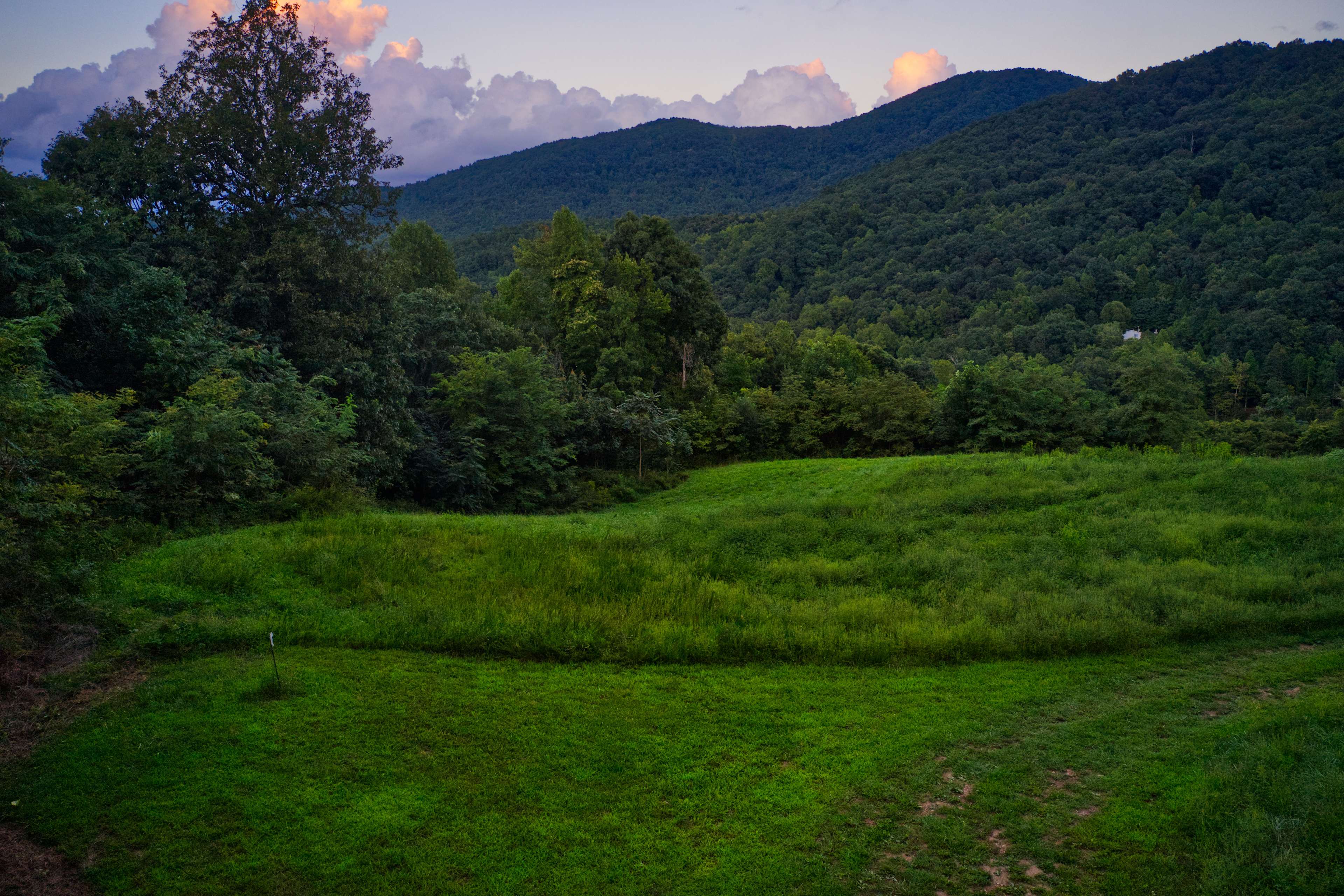 Campsite A looking East