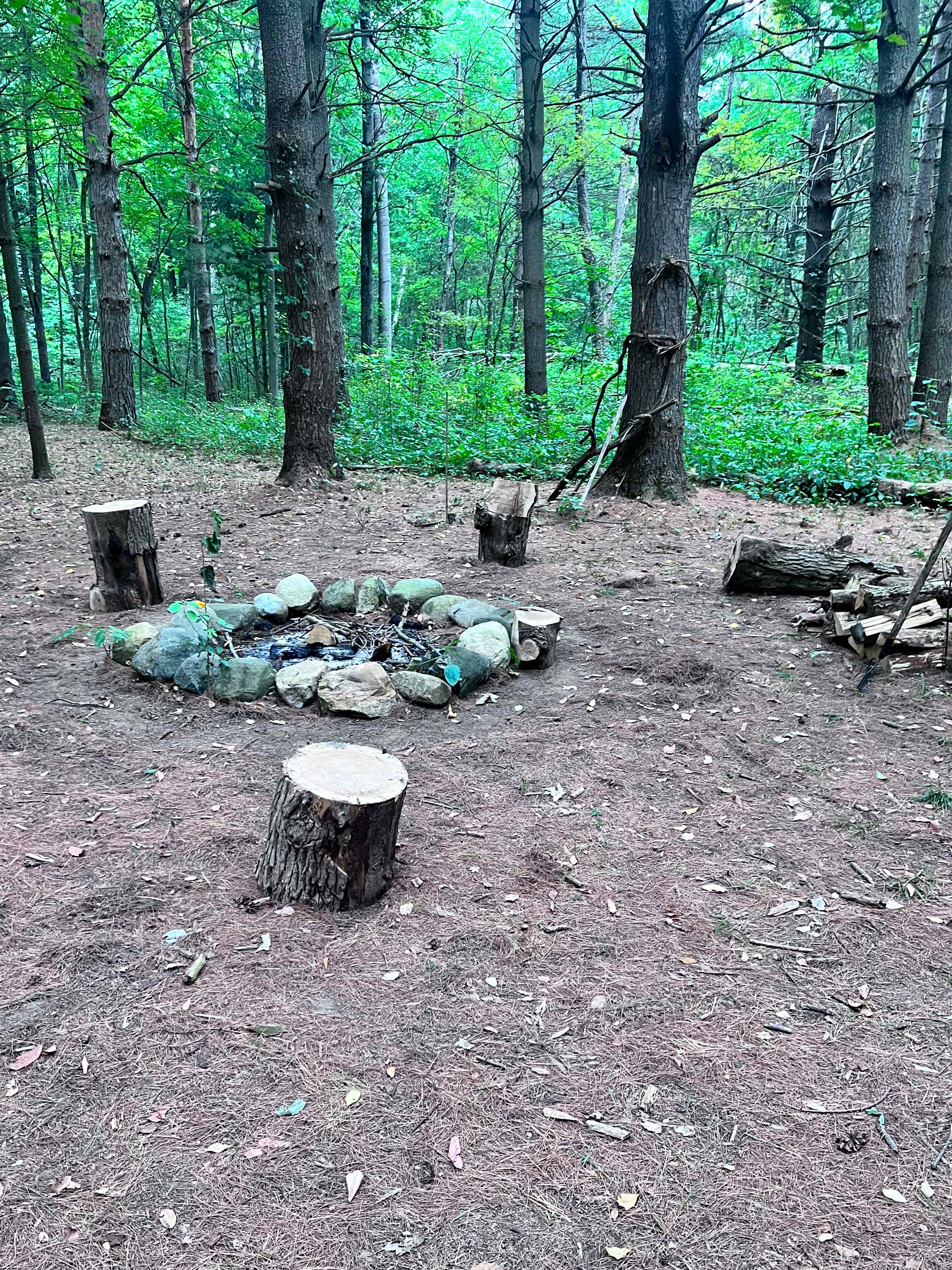 Picture of the site