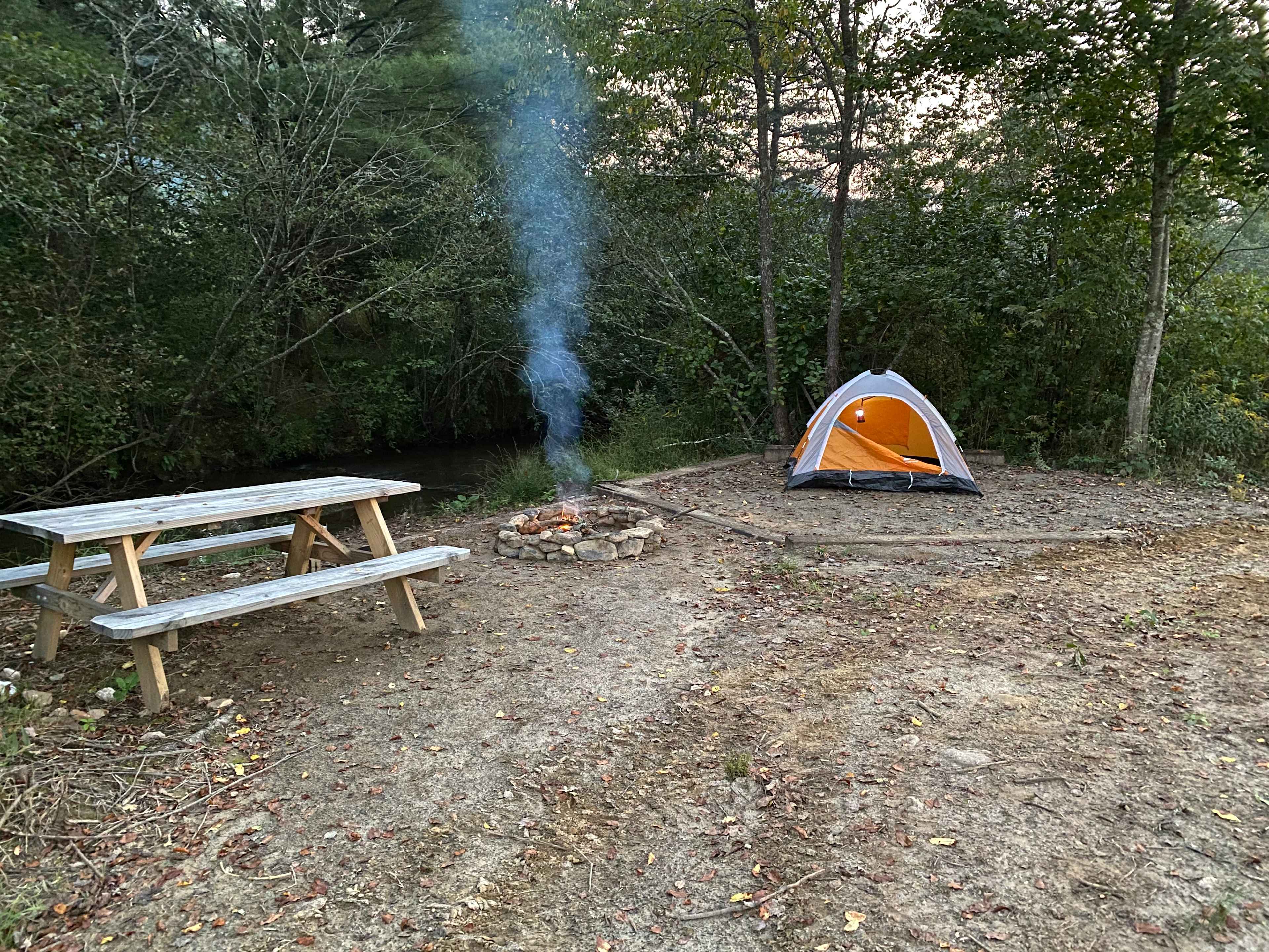 Picture of the site