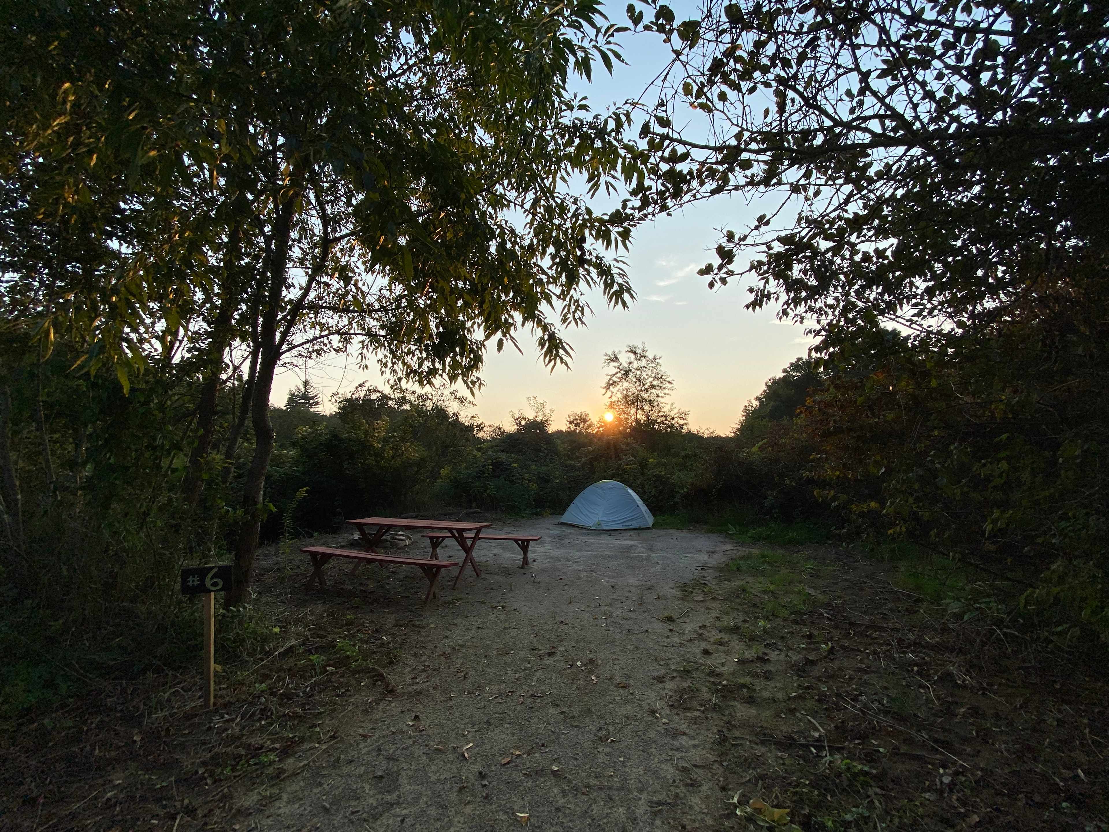 Picture of the site