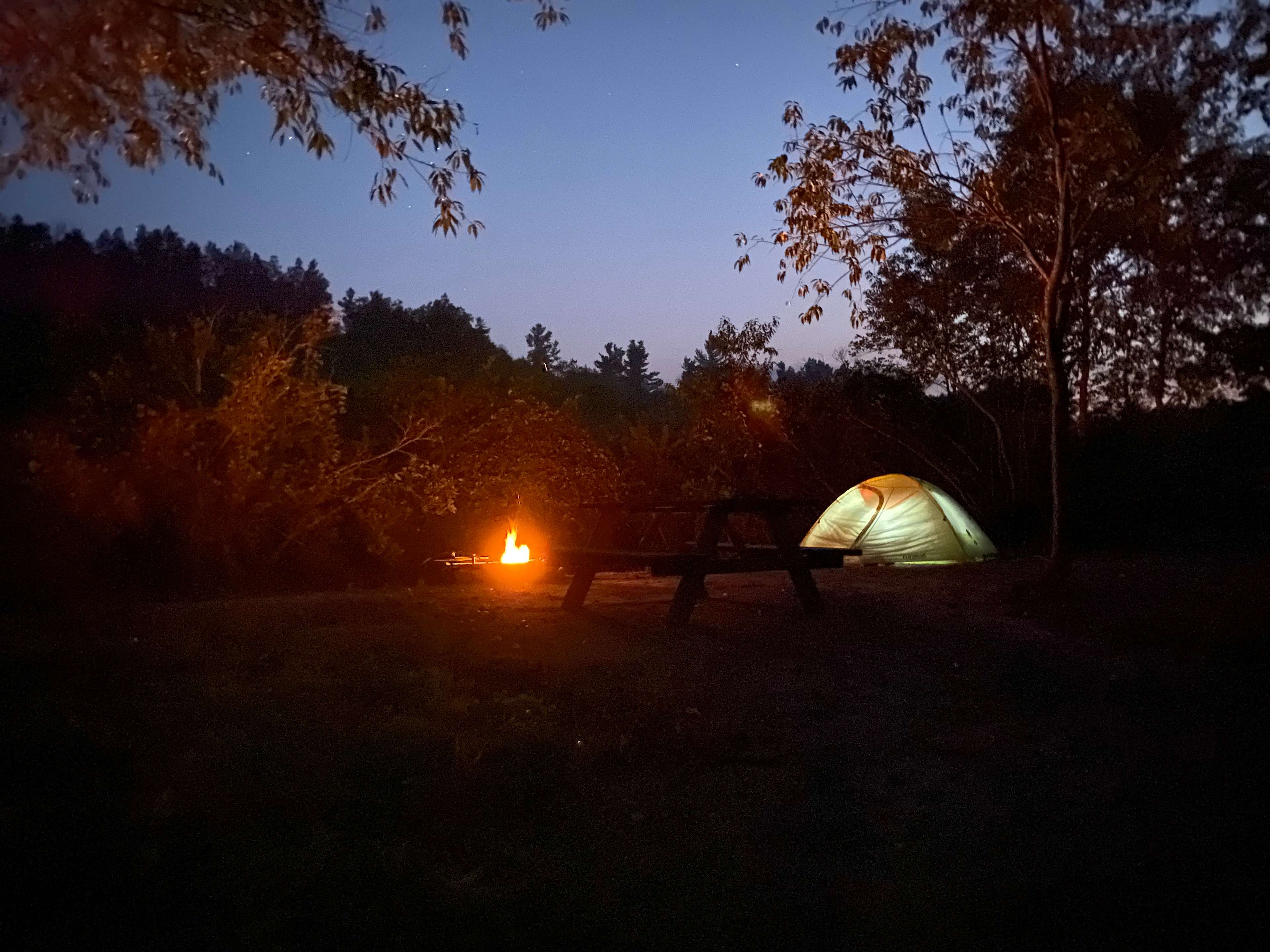 Picture of the site