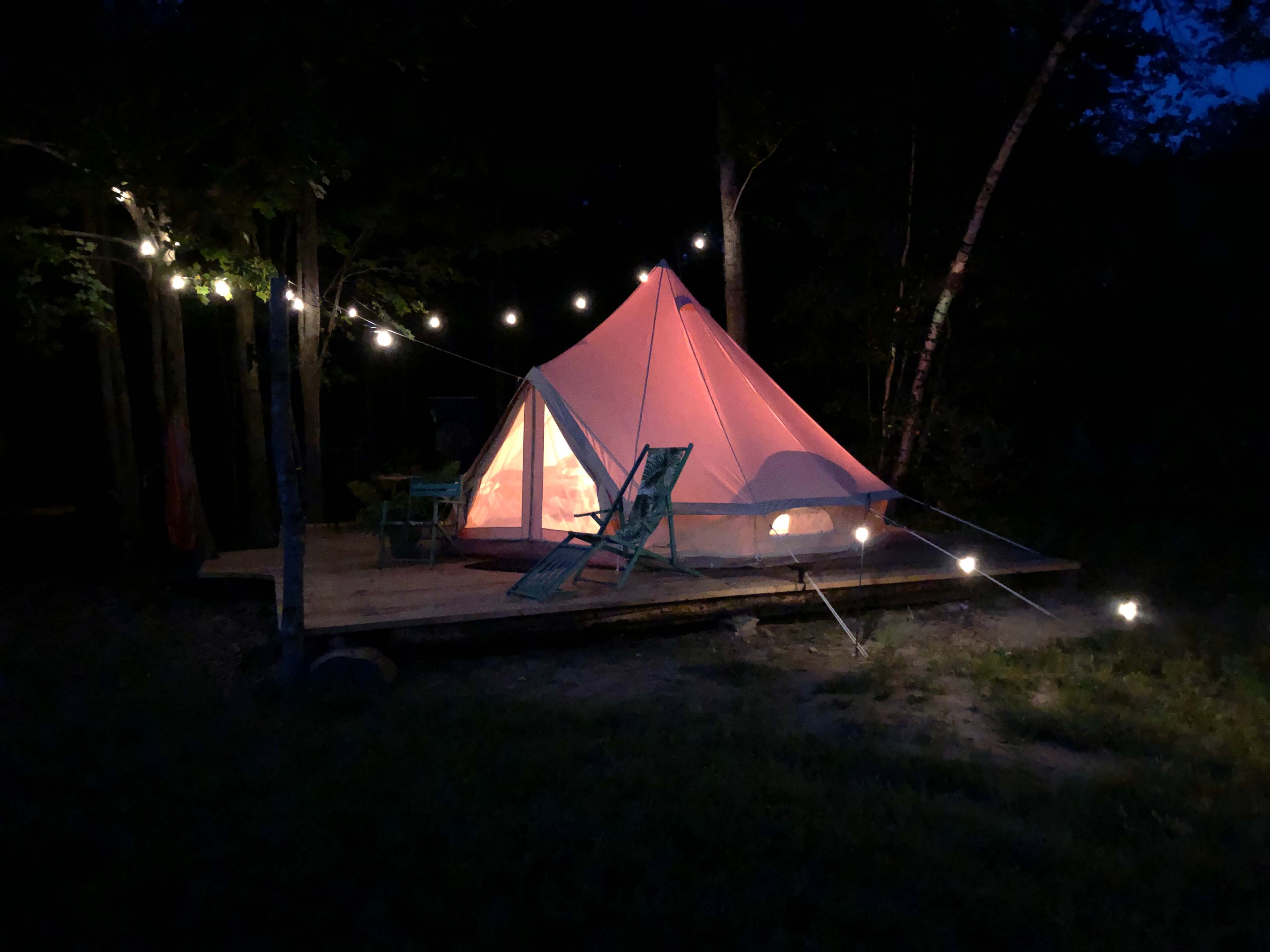 Camp Frogginton