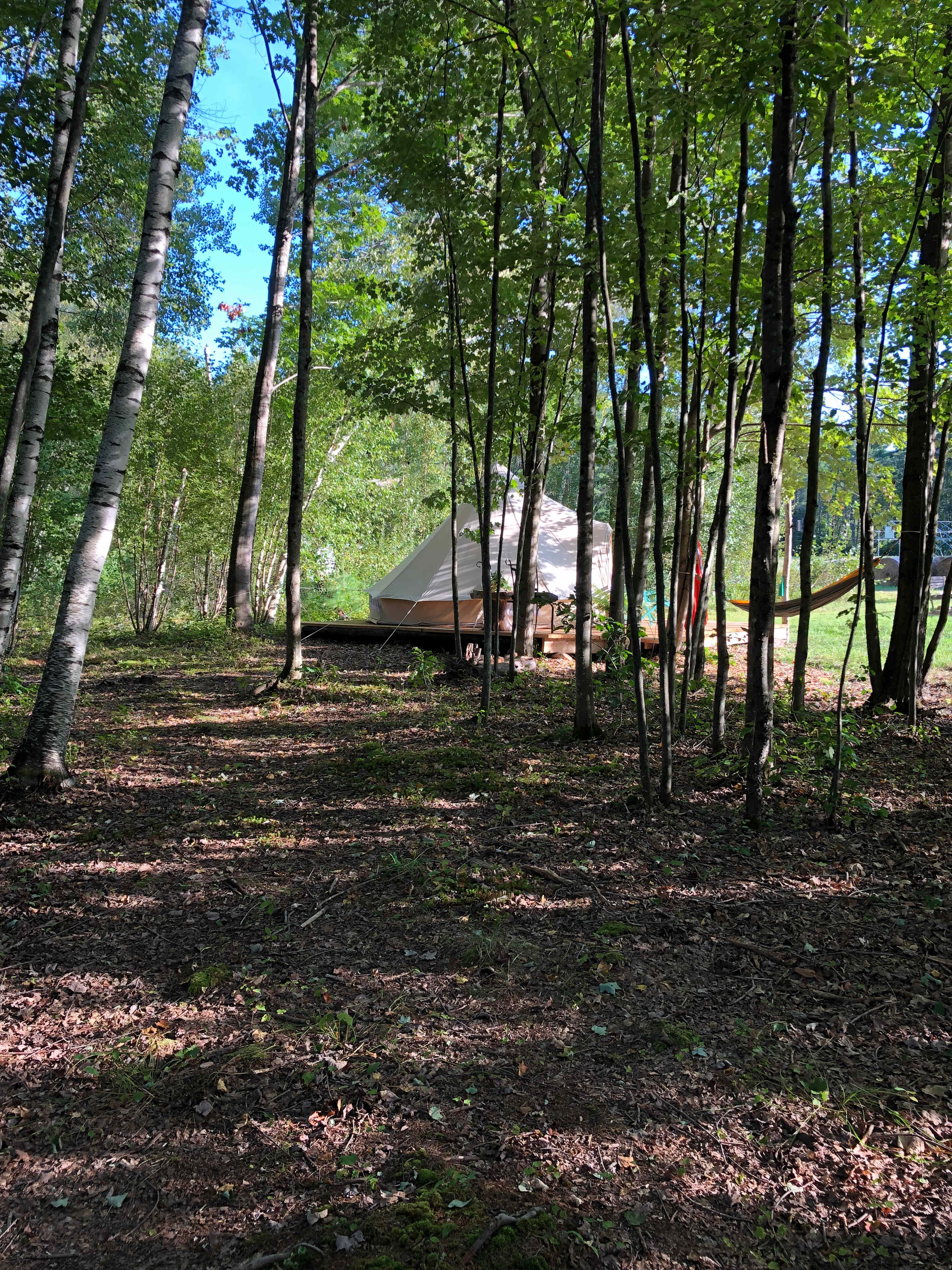 Camp Frogginton