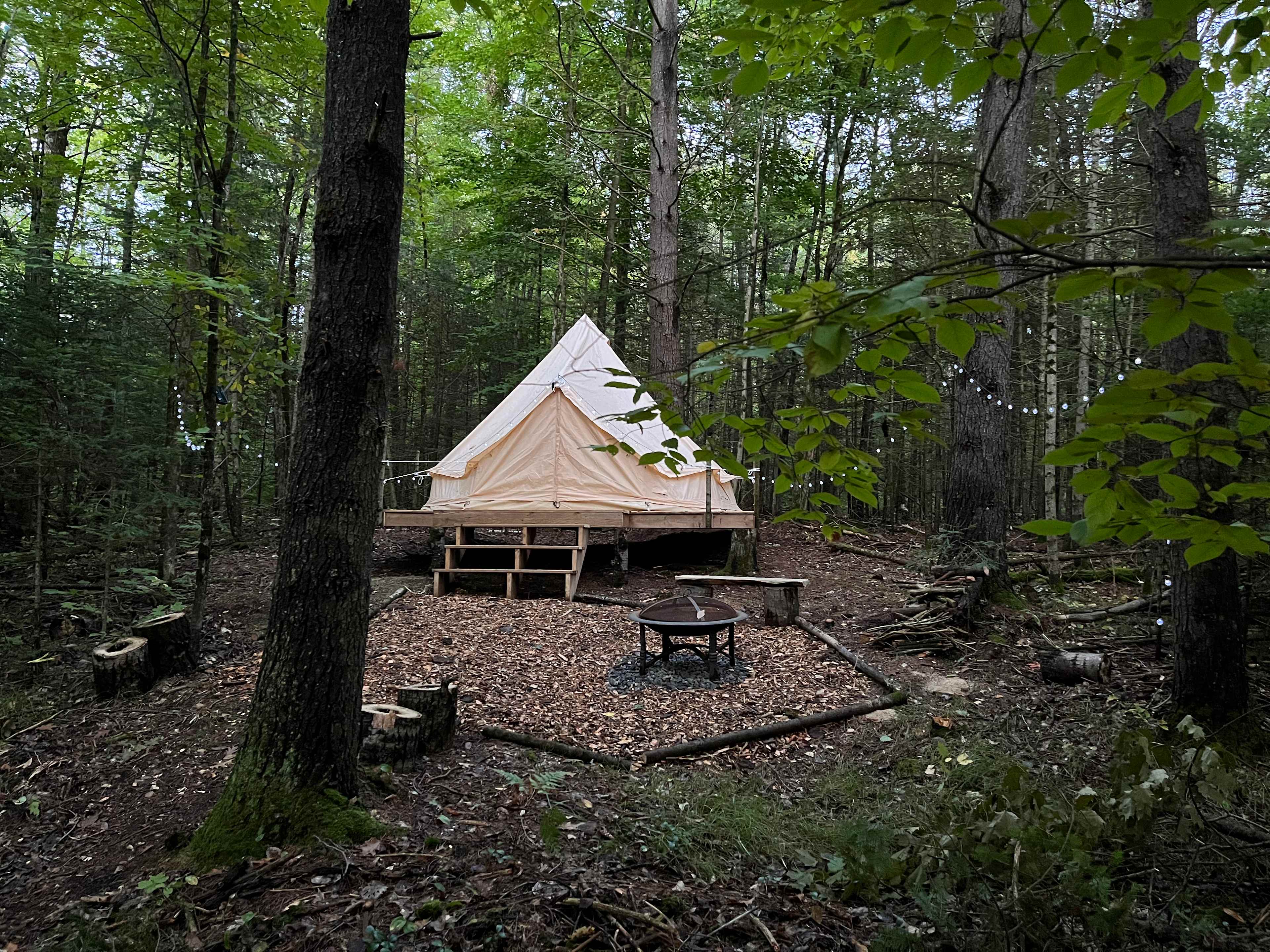 Picture of the site