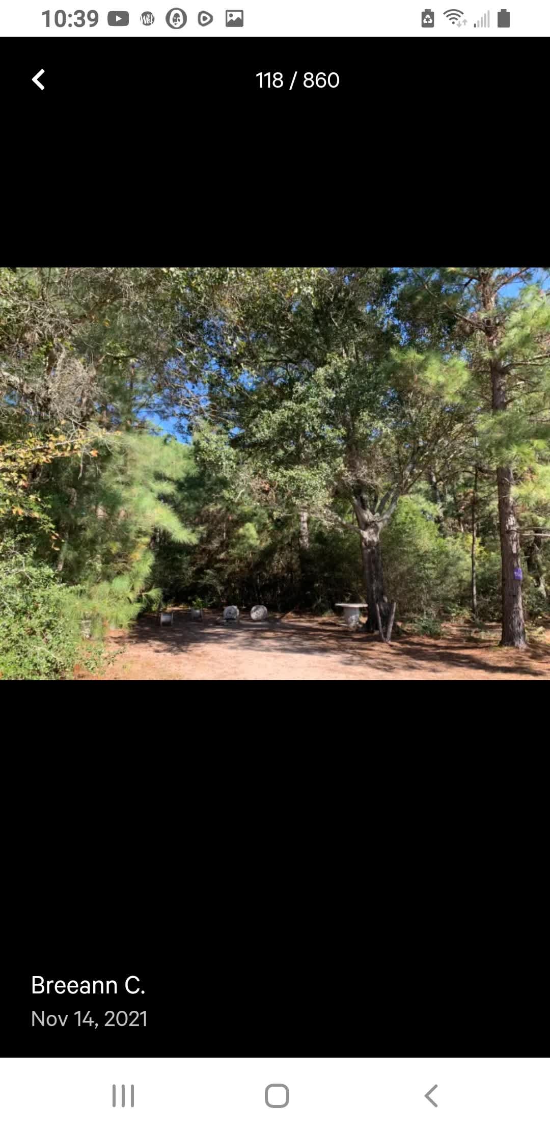Picture of the site