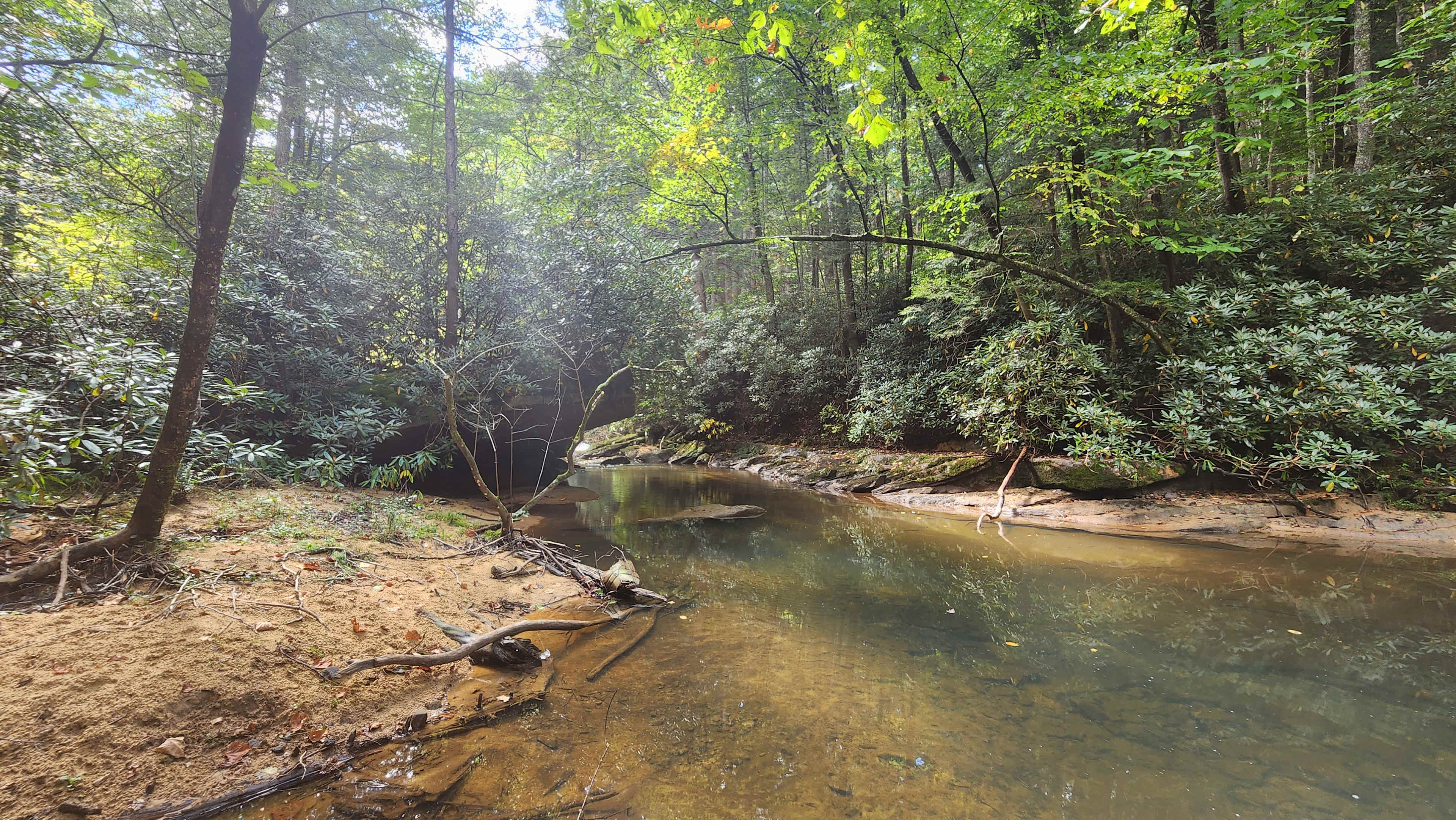 Possum Holler Camp- New River Gorge