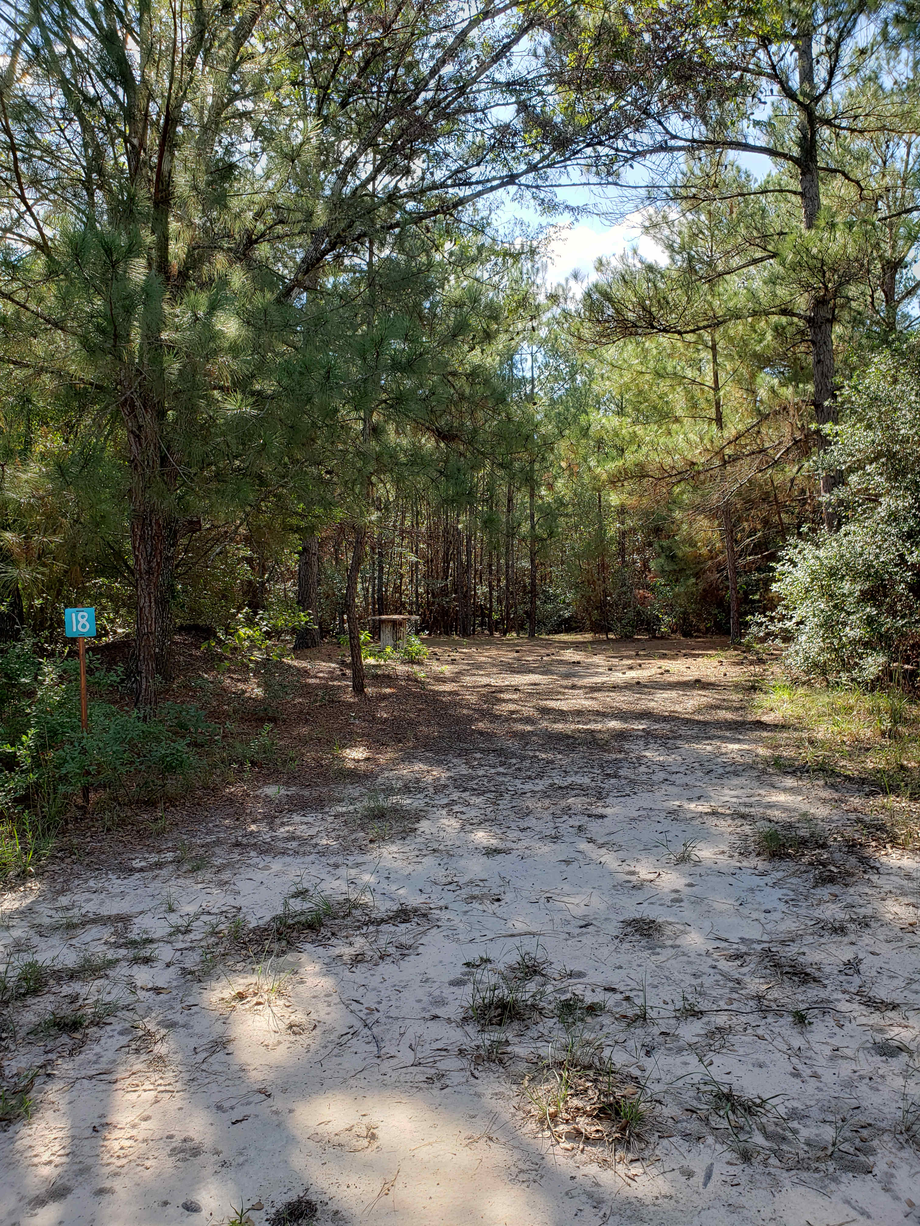 Picture of the site