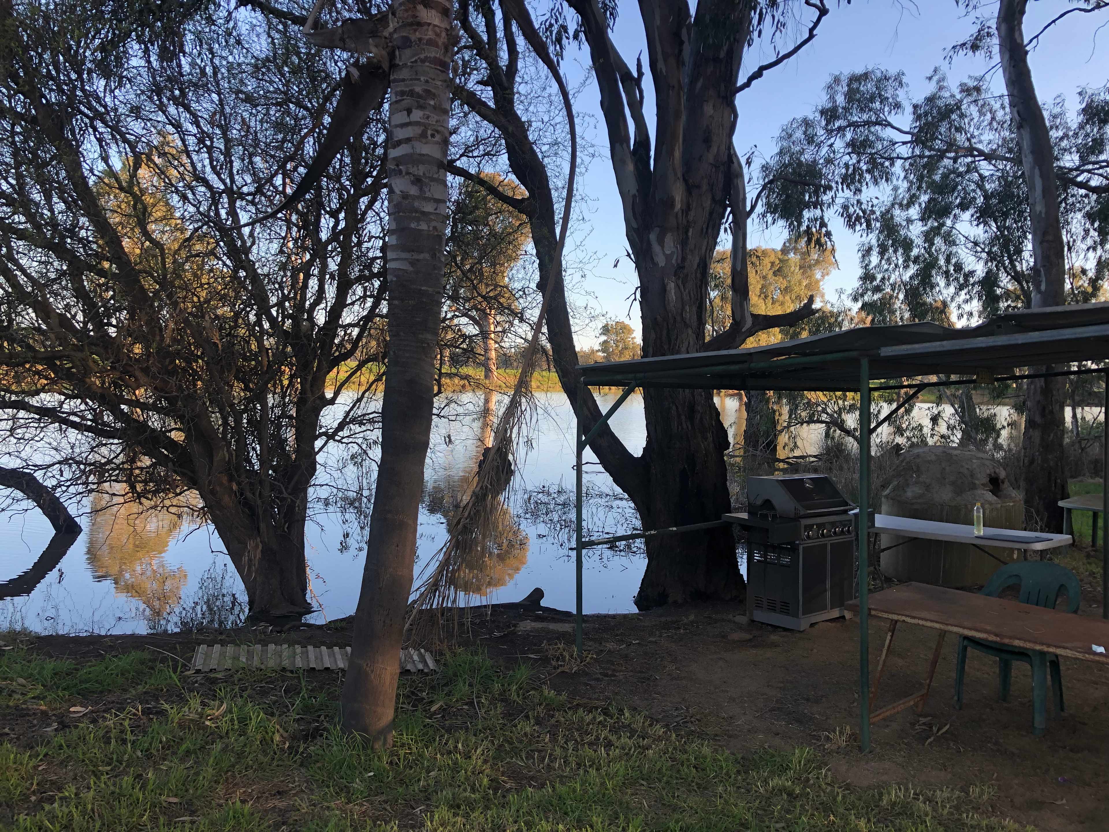 Cudgella on Bundidgerry Creek